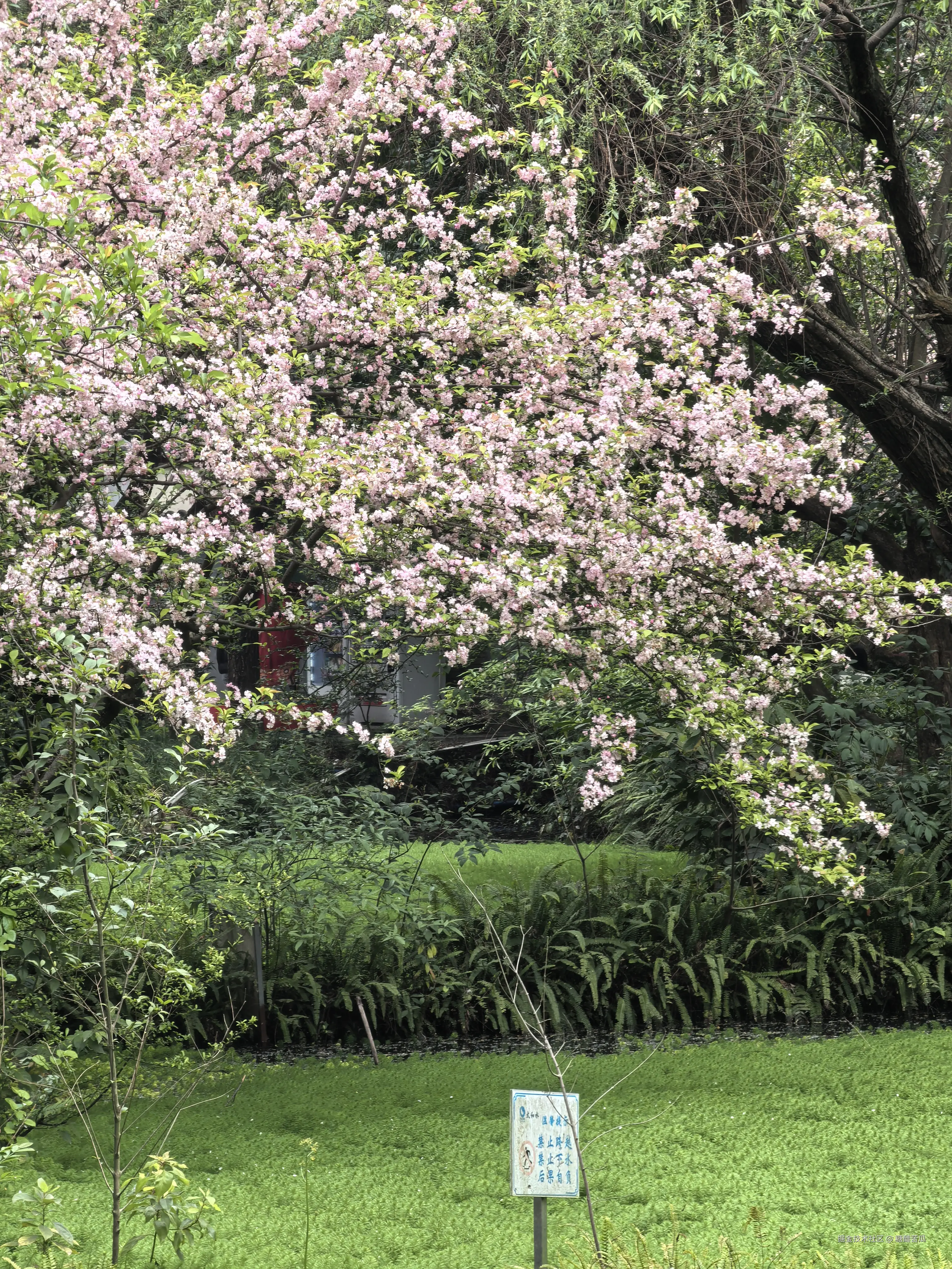 糖醋苦瓜于2026-03-23 16:28发布的图片