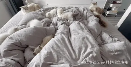 林林摸鱼专用于2024-11-13 09:18发布的图片