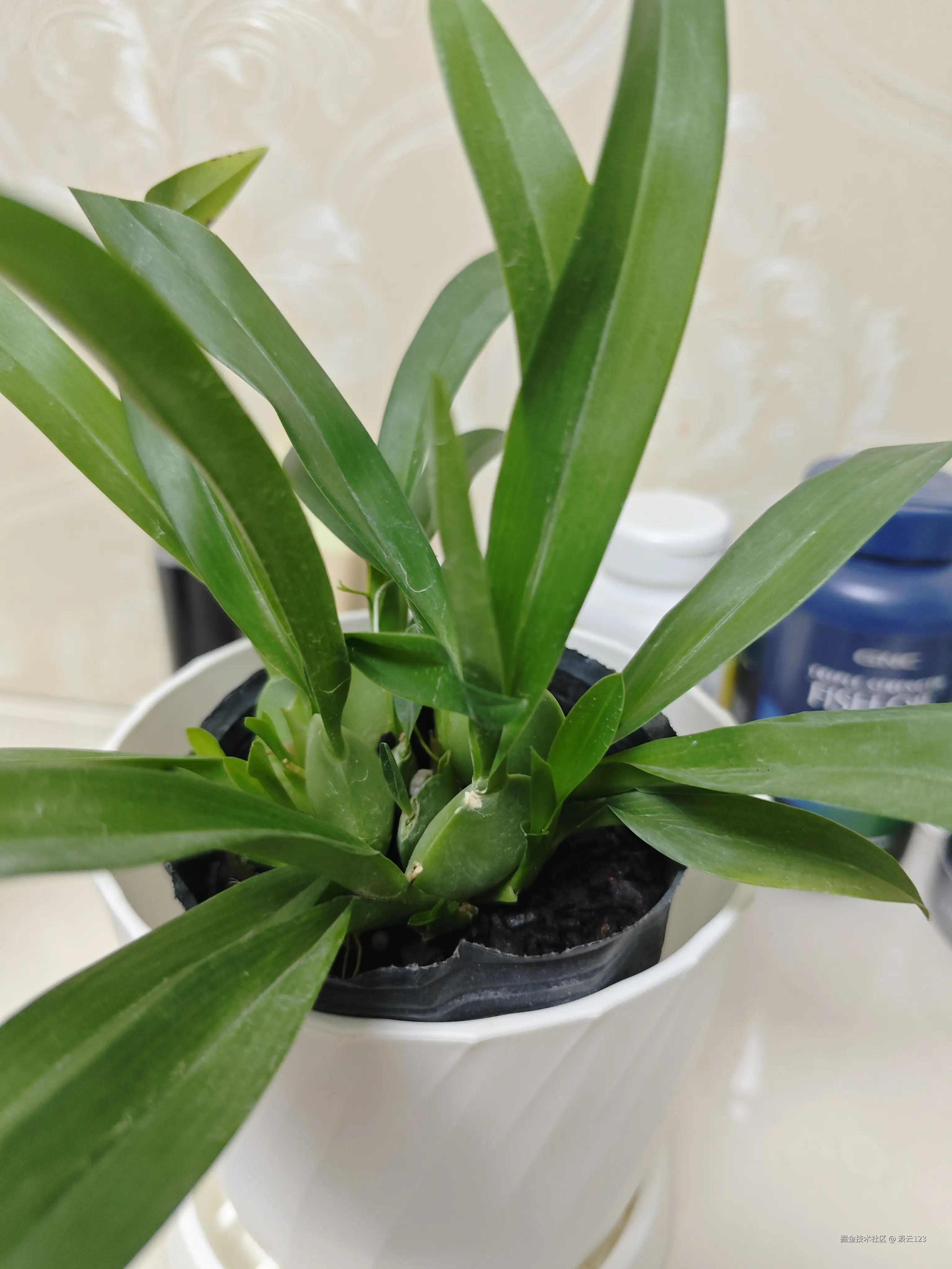 淡云123于2025-03-31 08:43发布的图片