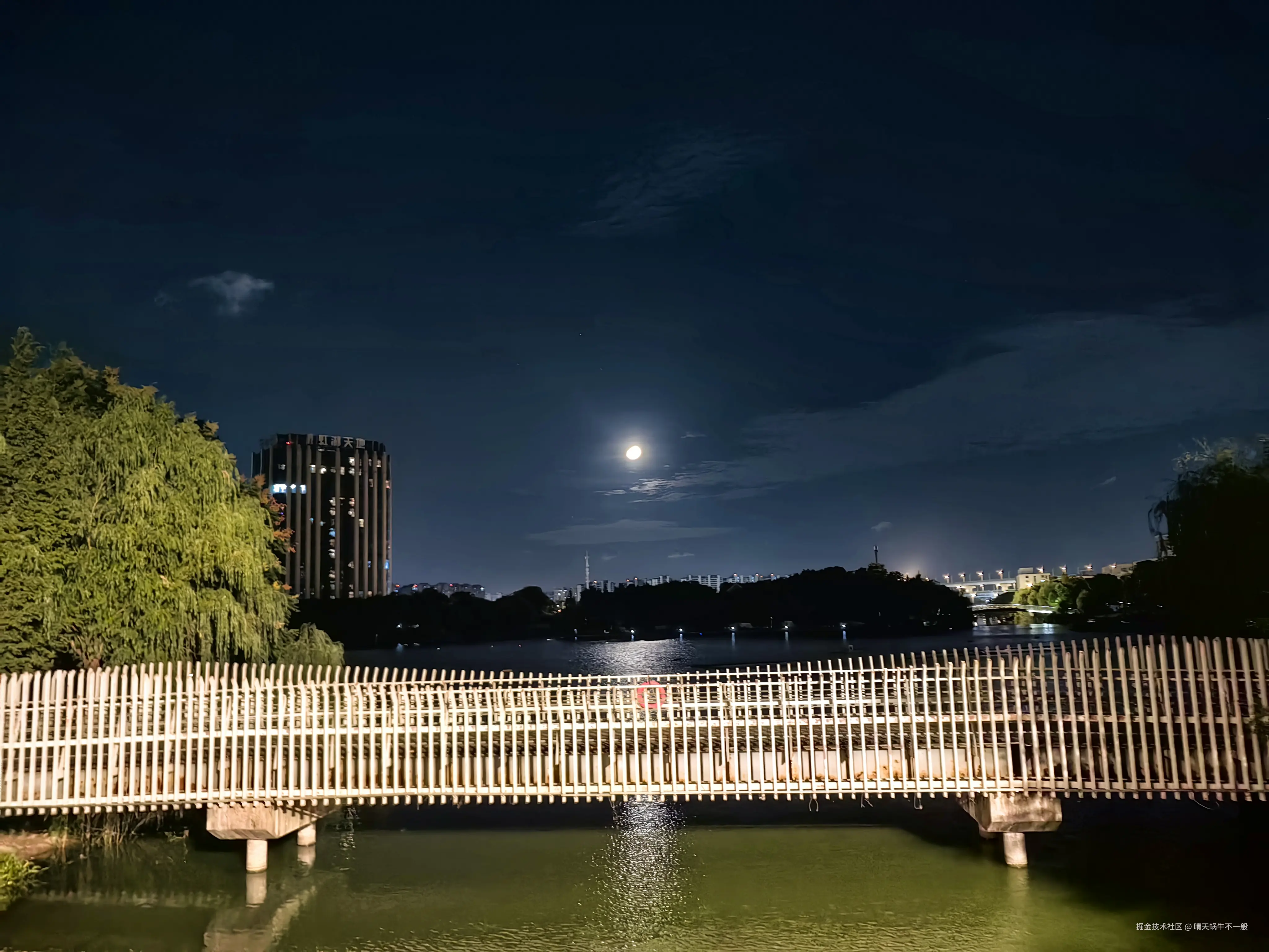 晴天蜗牛不一般于2024-09-13 14:57发布的图片