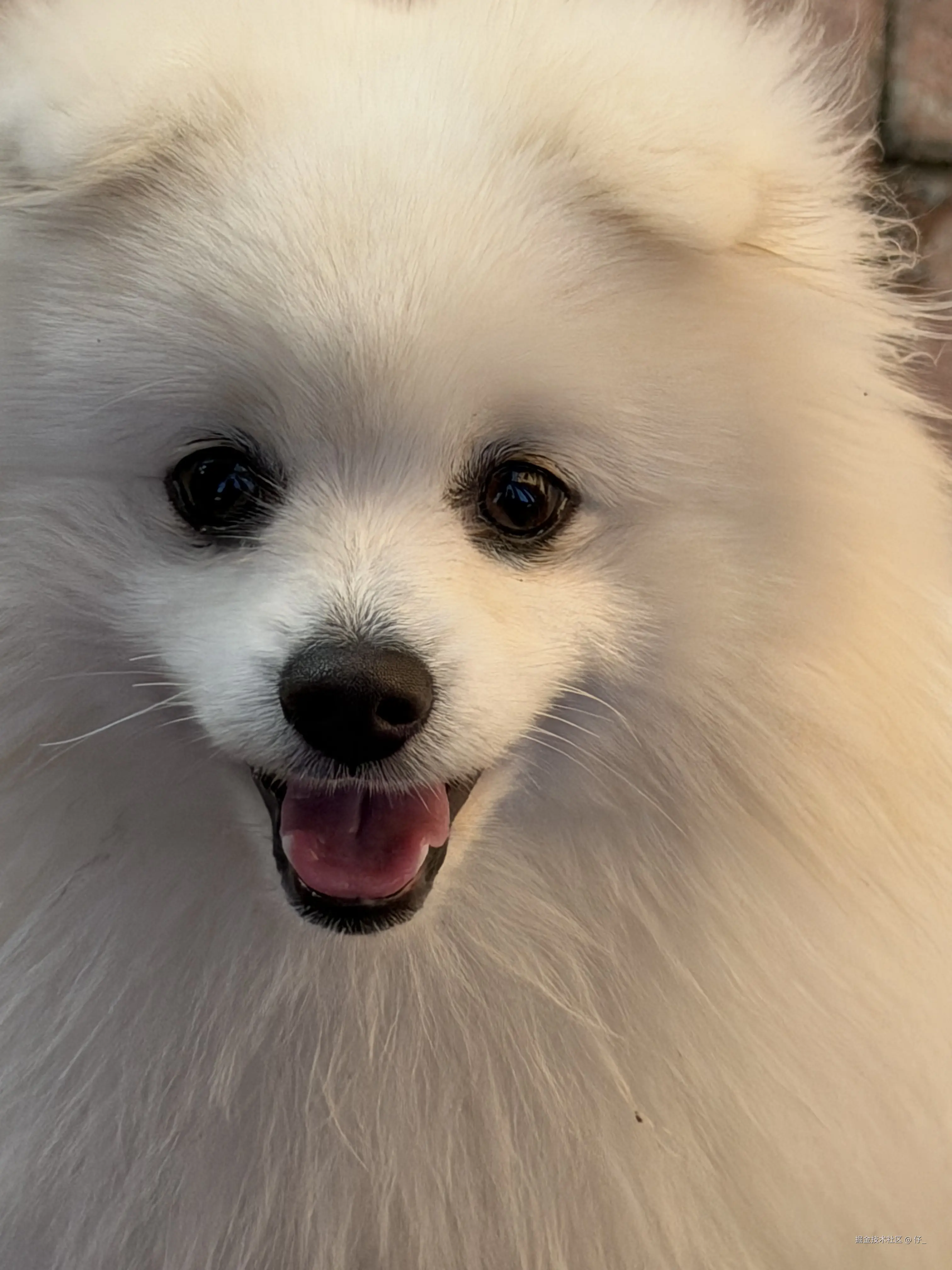 仔_于2026-02-24 13:09发布的图片