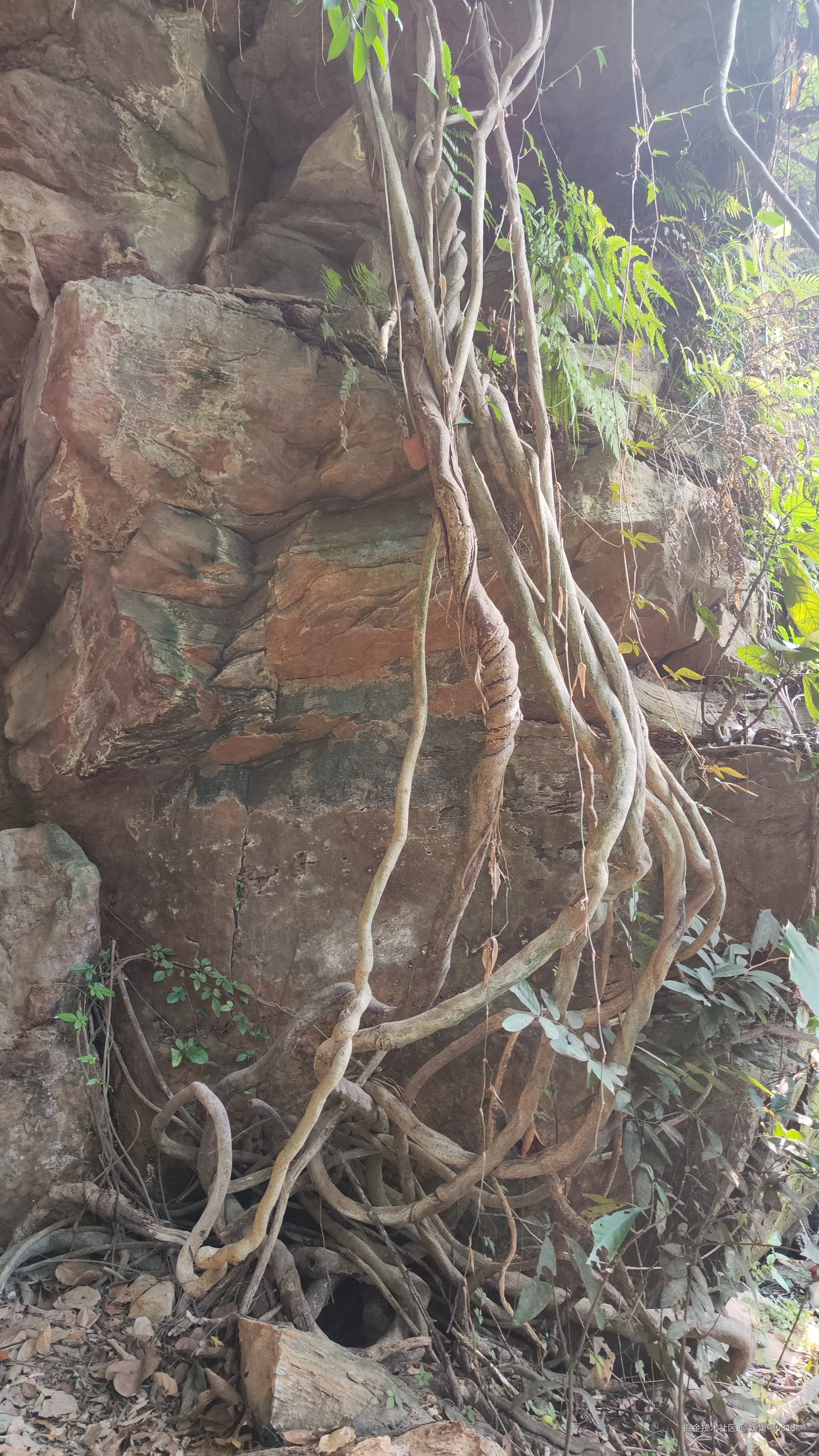 媛媛啊9813于2025-05-08 06:30发布的图片