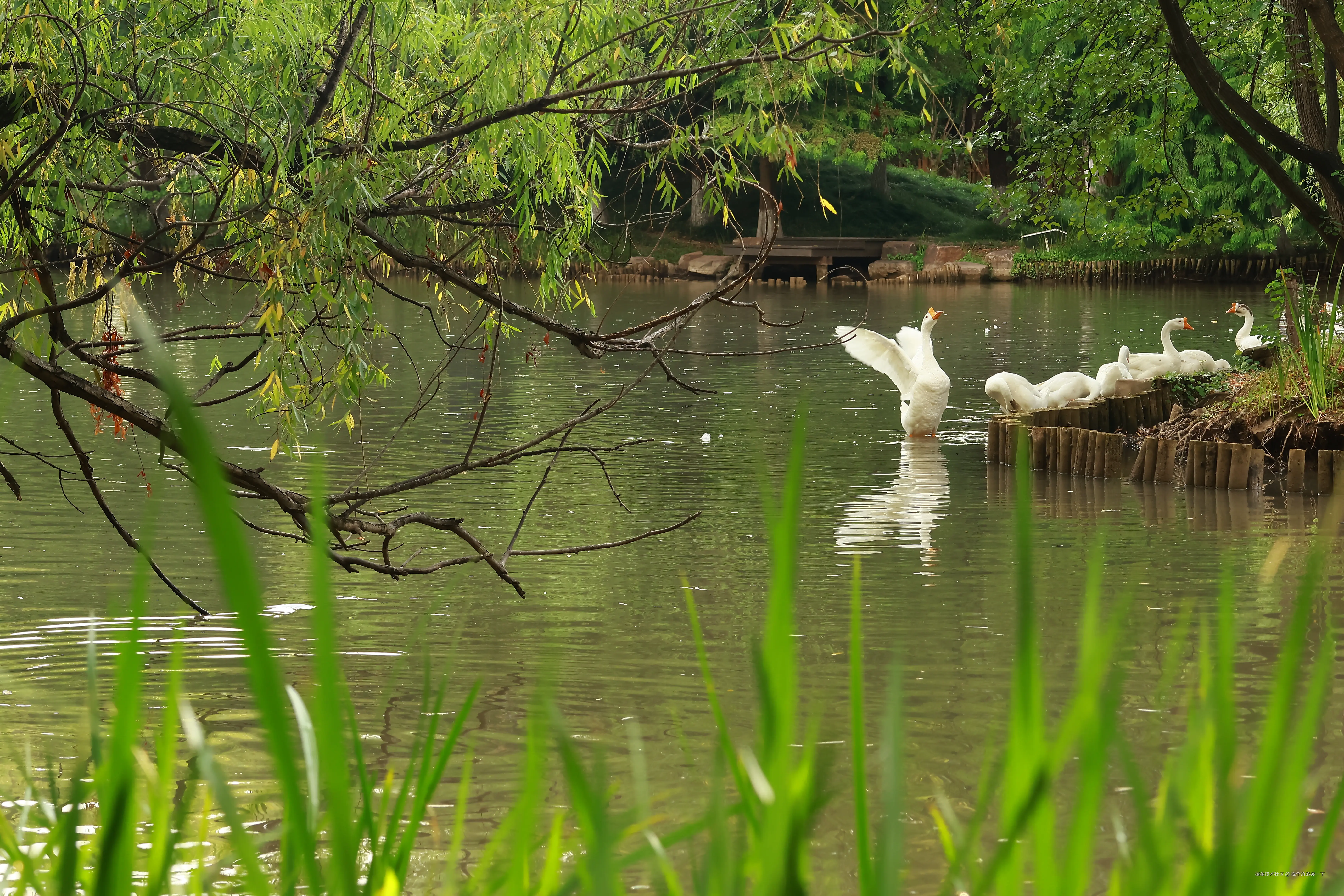 找个角落哭一下于2025-07-28 13:49发布的图片