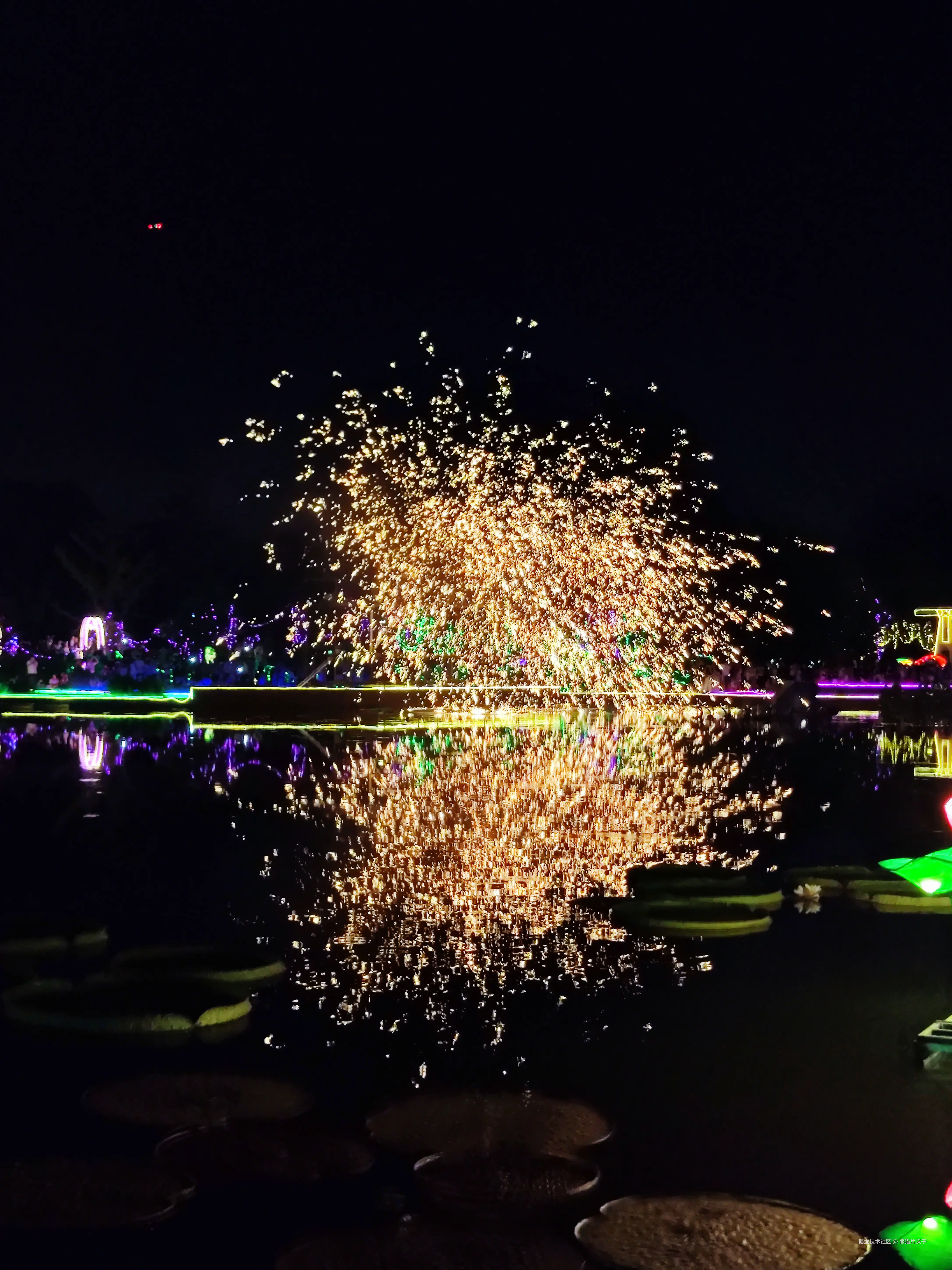 熊猫片沃子于2024-07-28 12:13发布的图片