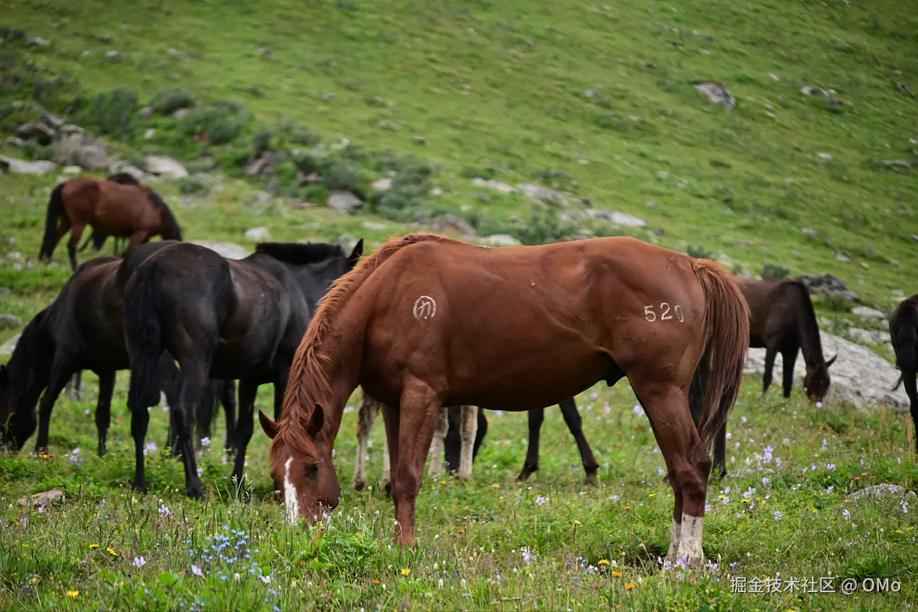 OMo于2026-01-23 01:58发布的图片
