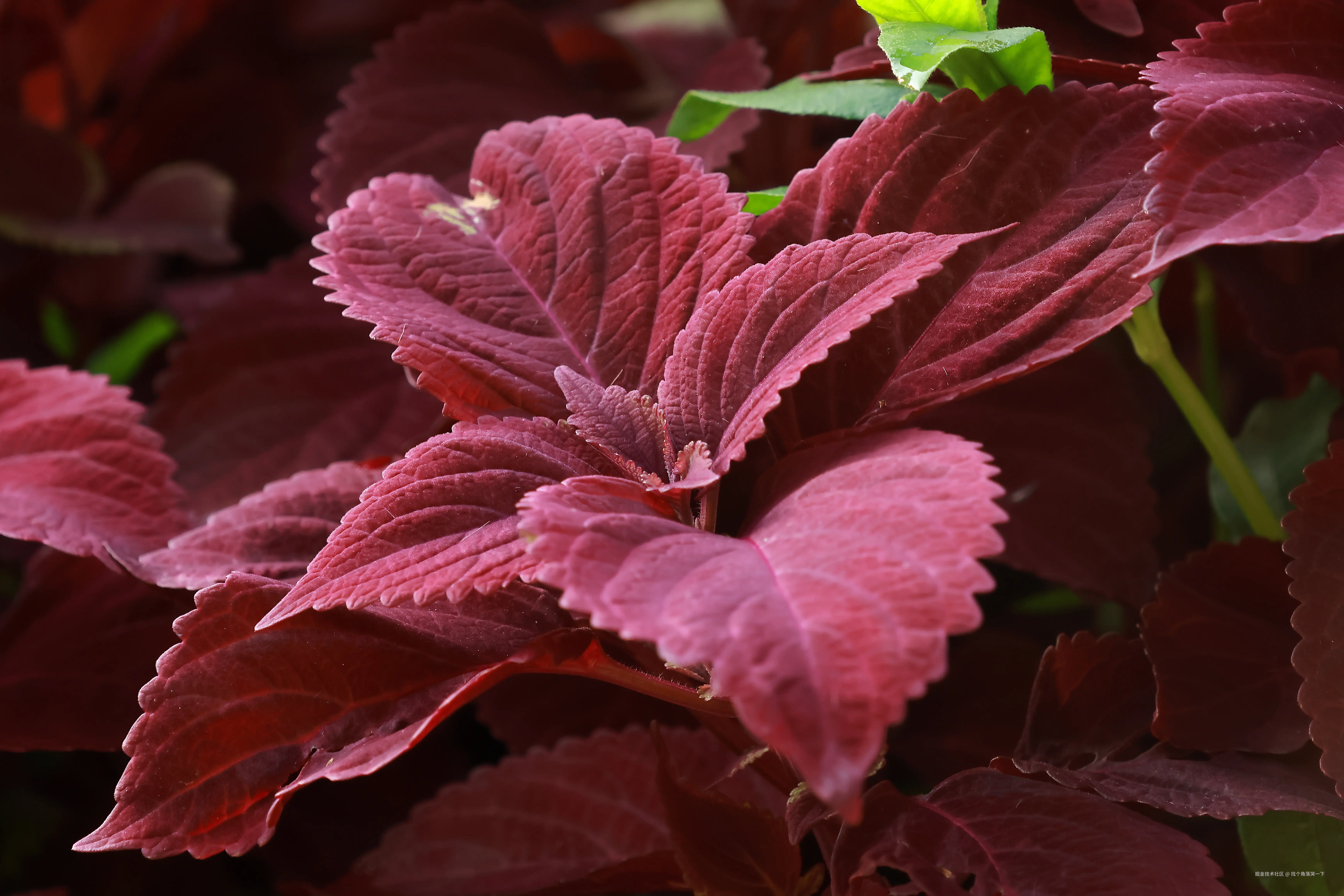 找个角落哭一下于2025-07-28 13:49发布的图片