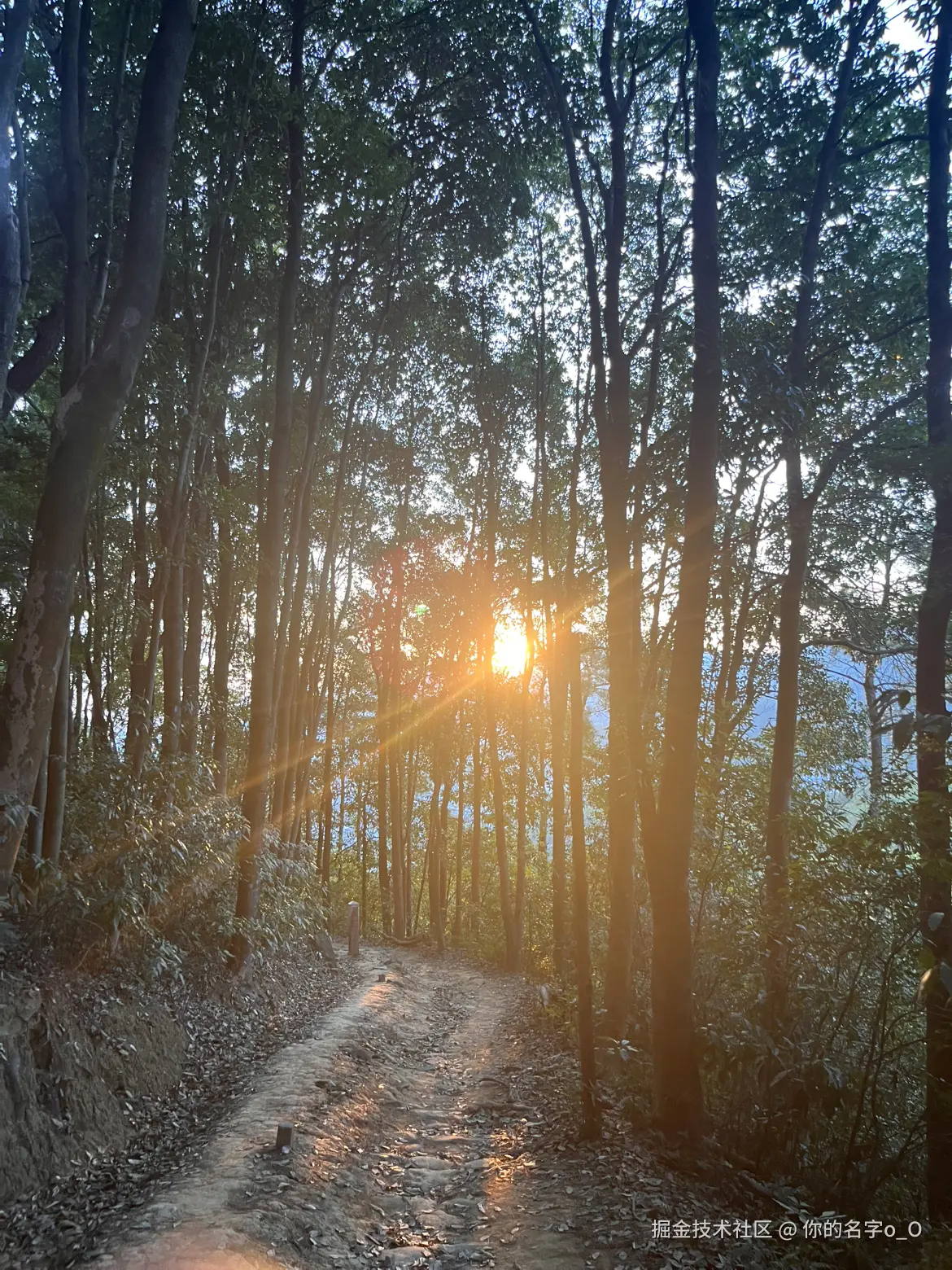 你的名字o_O于2025-10-20 15:06发布的图片