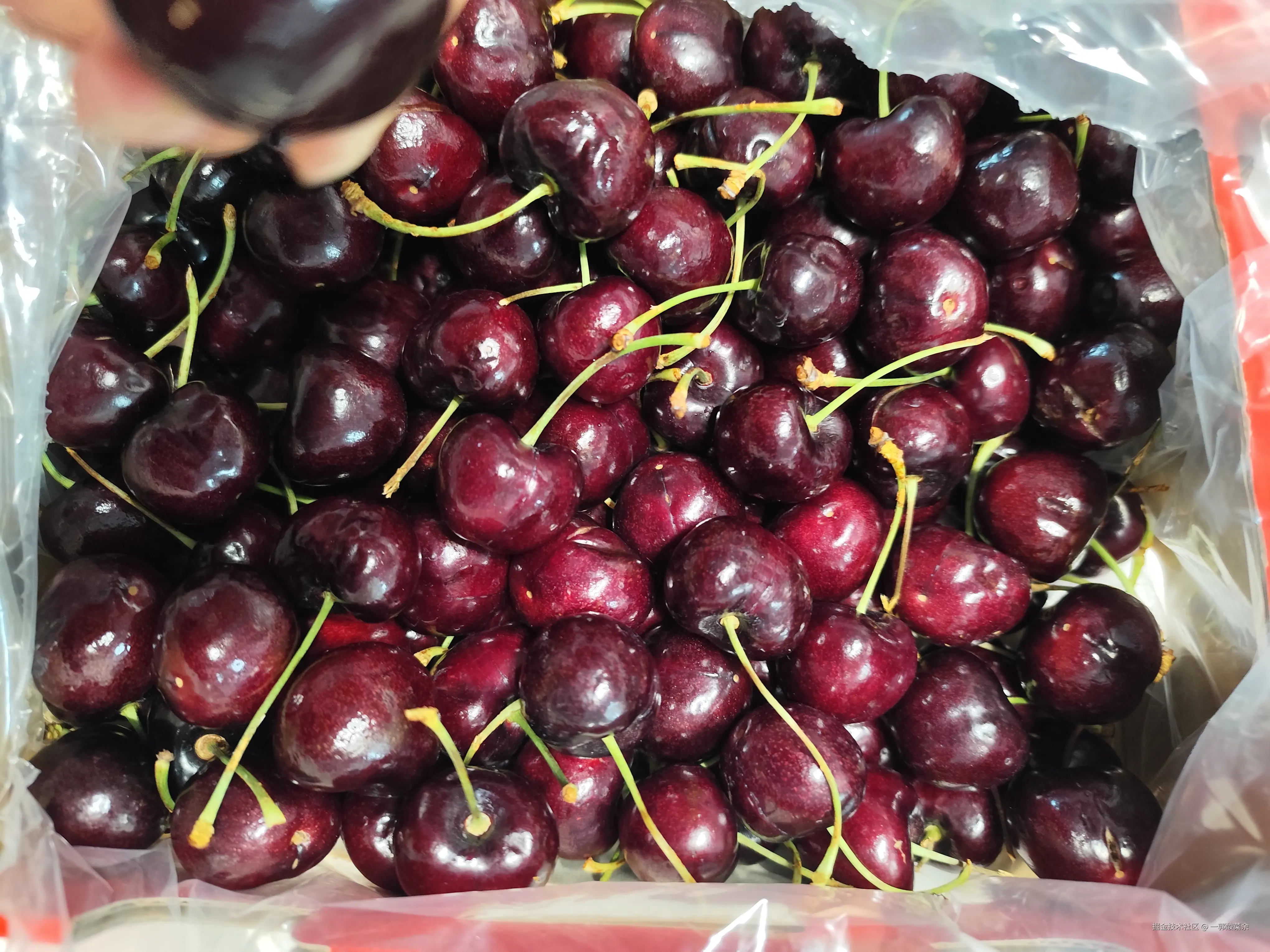 一郭酸菜余于2025-02-08 09:41发布的图片