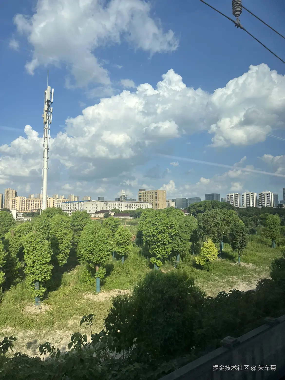 矢车菊于2024-08-14 16:29发布的图片