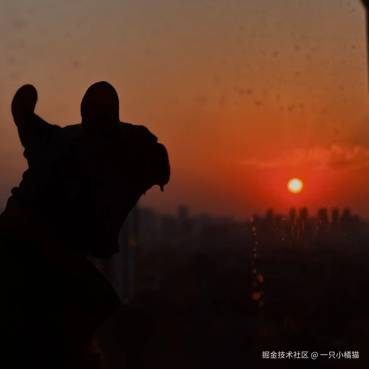 一只小橘猫于2025-10-23 02:00发布的图片