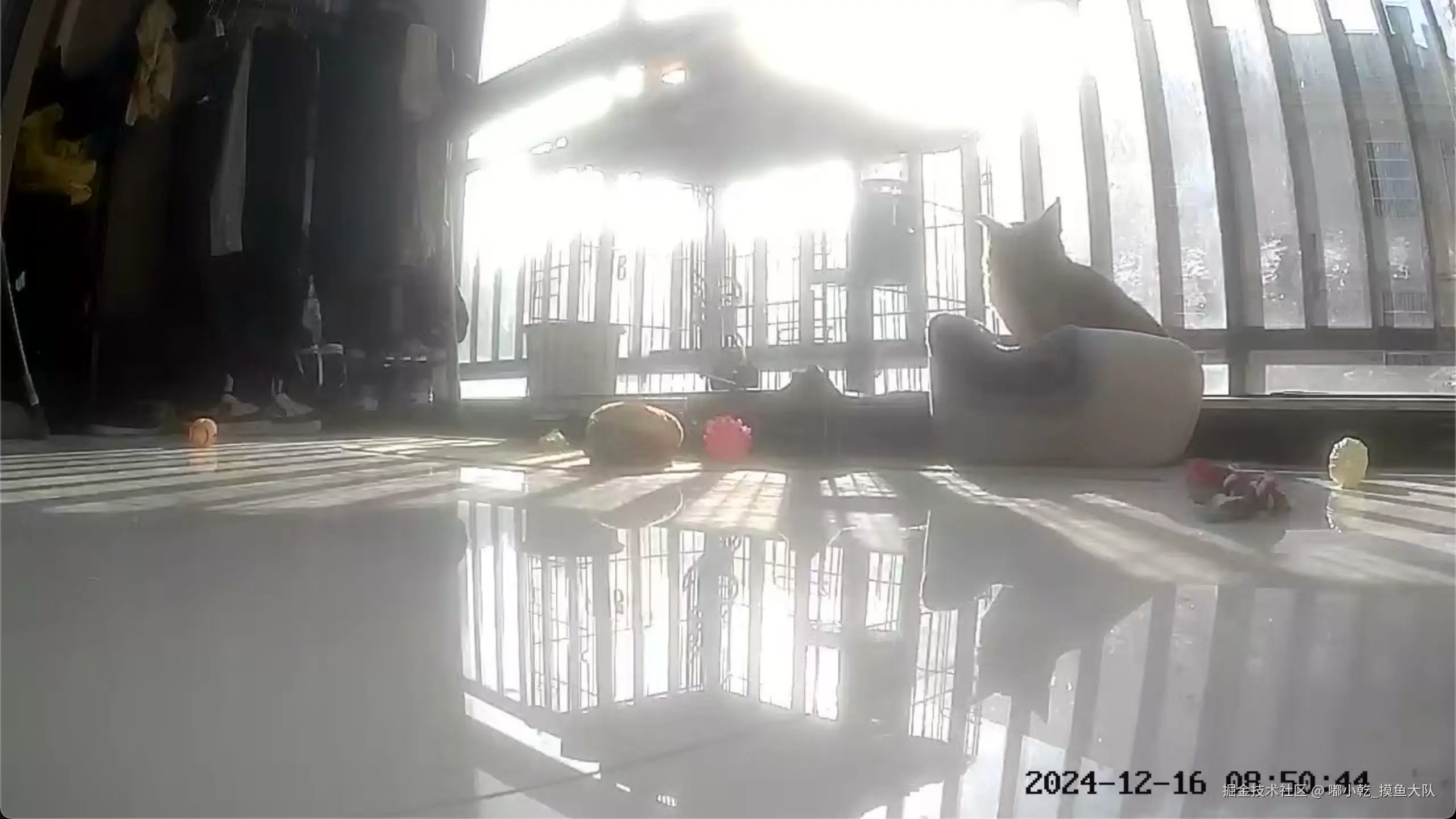 嘟小乾_摸鱼大队于2024-12-16 09:09发布的图片