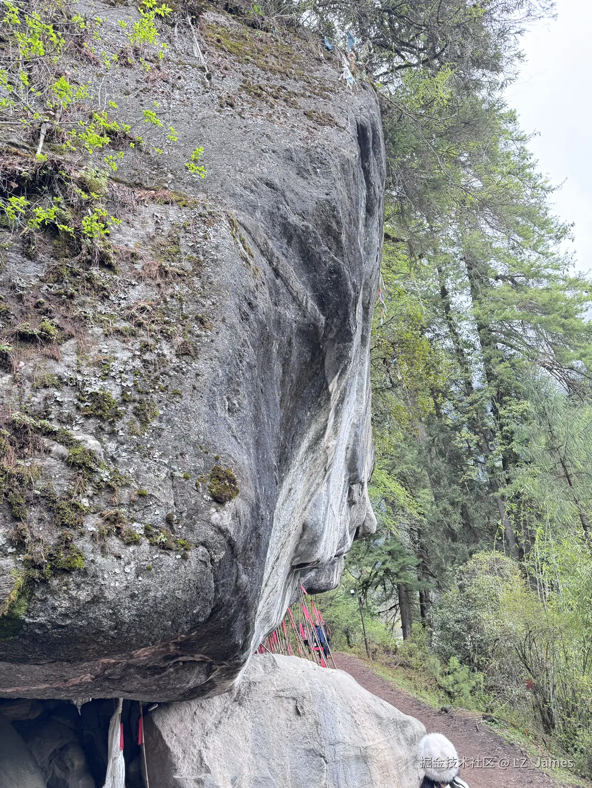 LZ_James于2025-05-06 10:29发布的图片