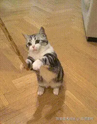 古德墨柠于2026-03-23 14:29发布的图片