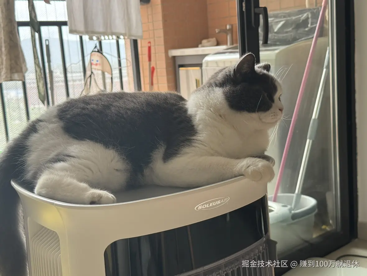 赚到100万就退休于2025-07-14 14:13发布的图片