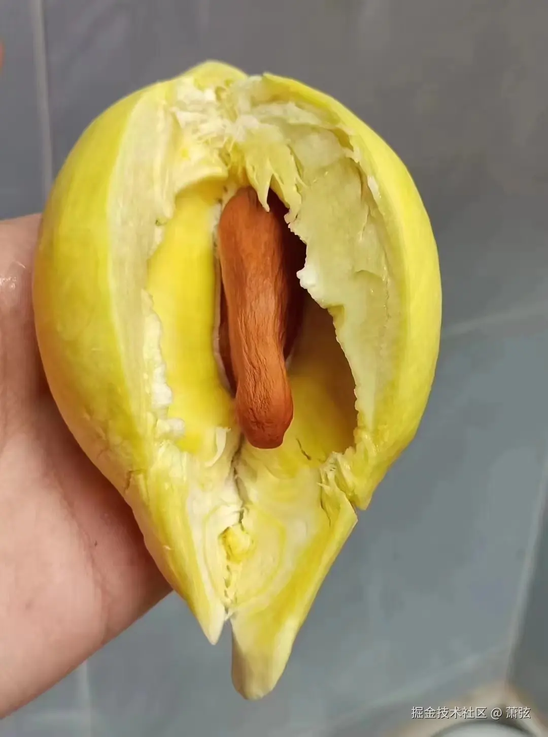 萧弦于2026-04-22 13:58发布的图片