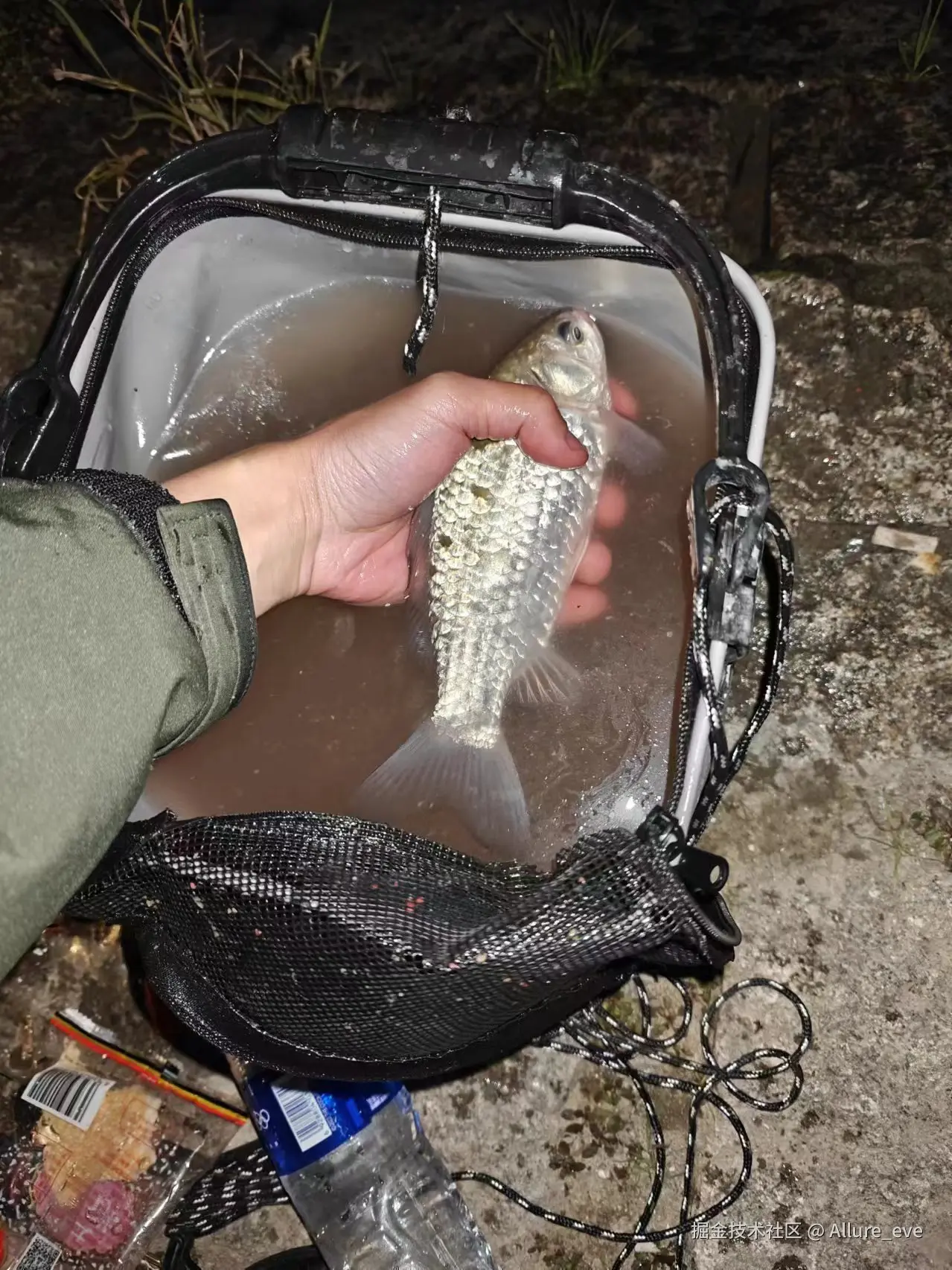 Allure_eve于2024-12-02 09:41发布的图片