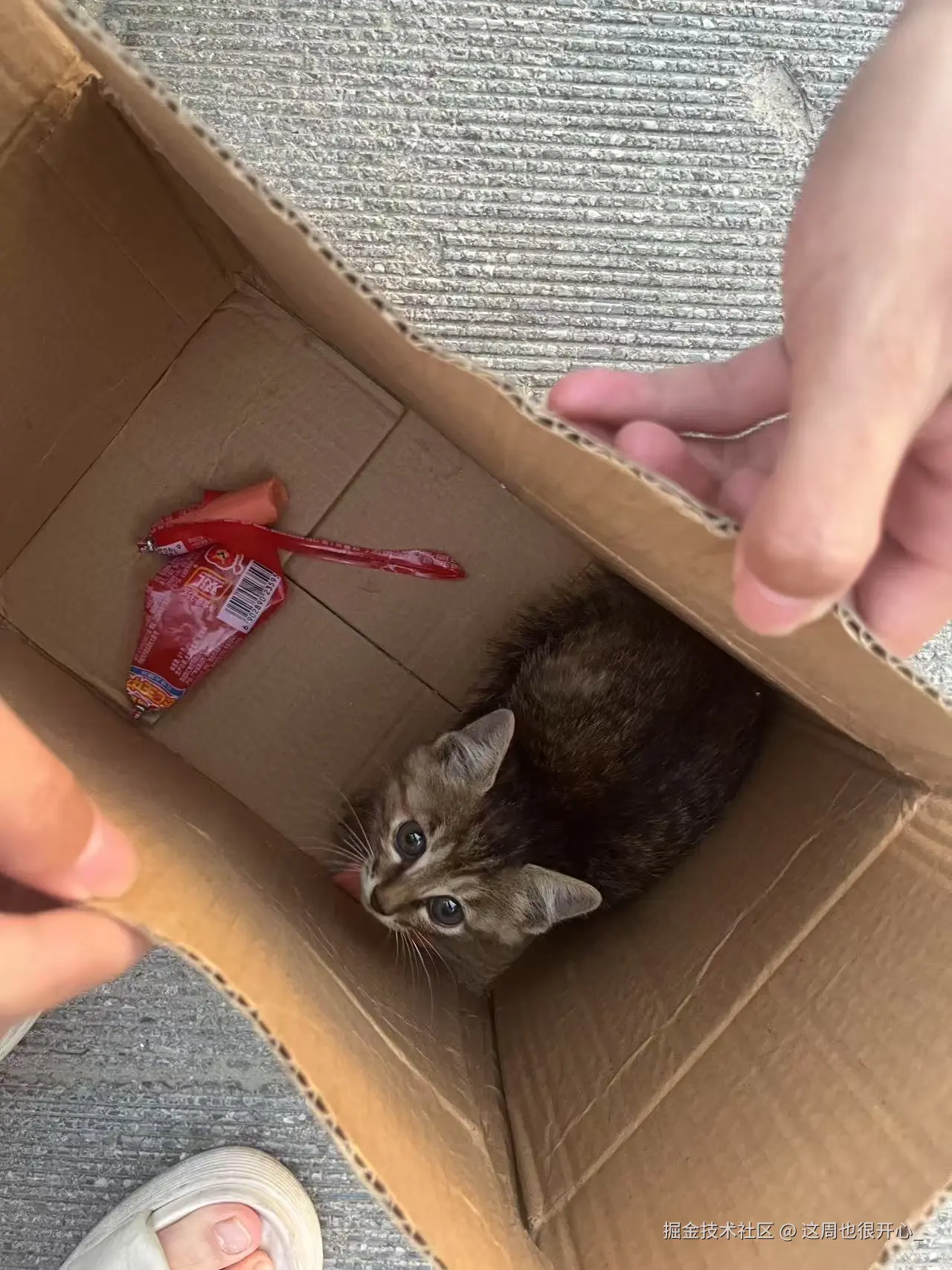 这周也很开心_于2025-06-30 09:49发布的图片