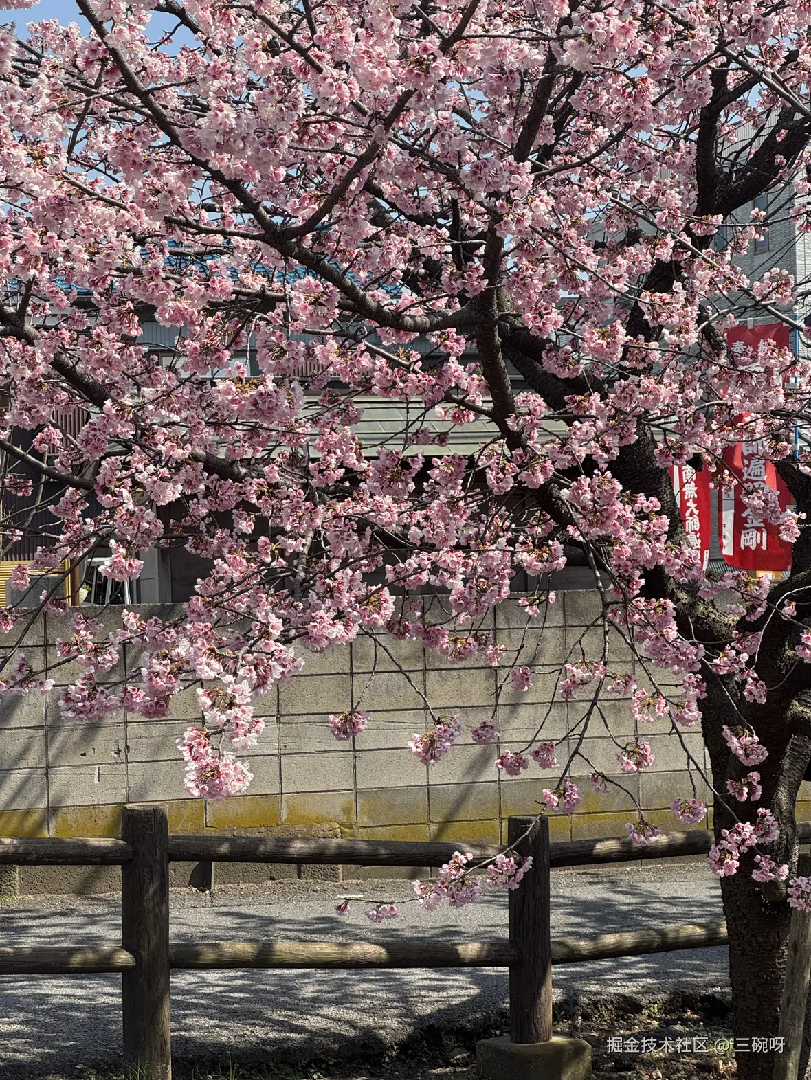 三碗呀于2025-04-02 11:03发布的图片