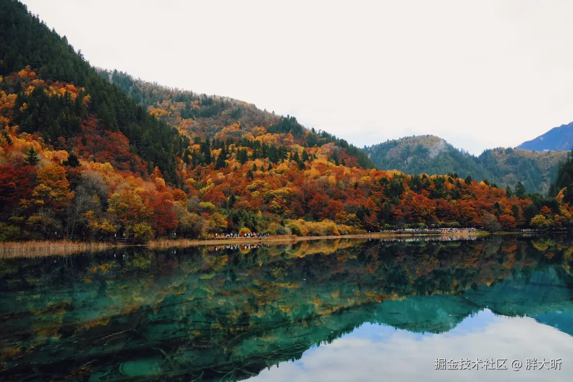 胖大昕于2024-11-05 14:53发布的图片