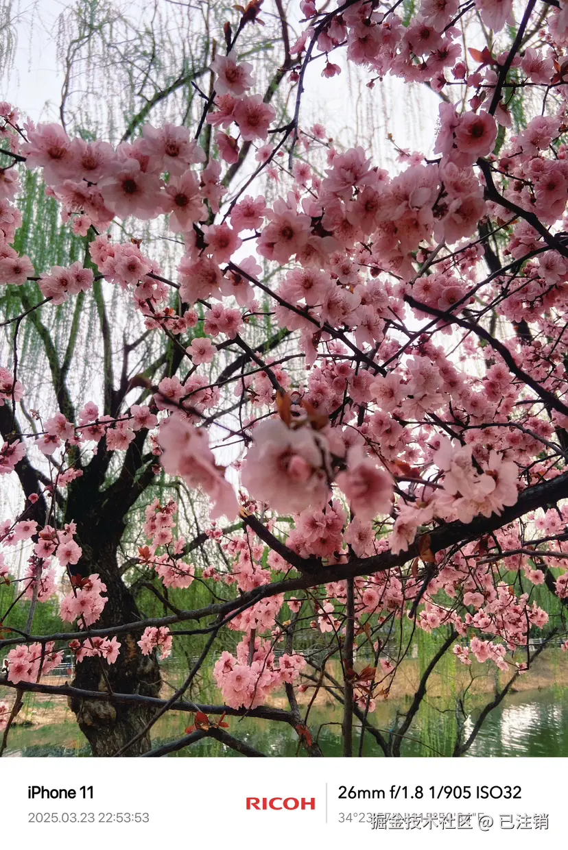 已注销于2025-03-23 22:58发布的图片