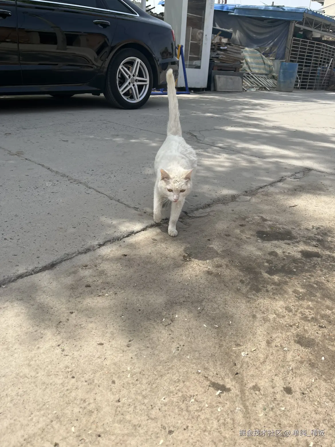 单纯_稀饭于2025-04-25 12:03发布的图片