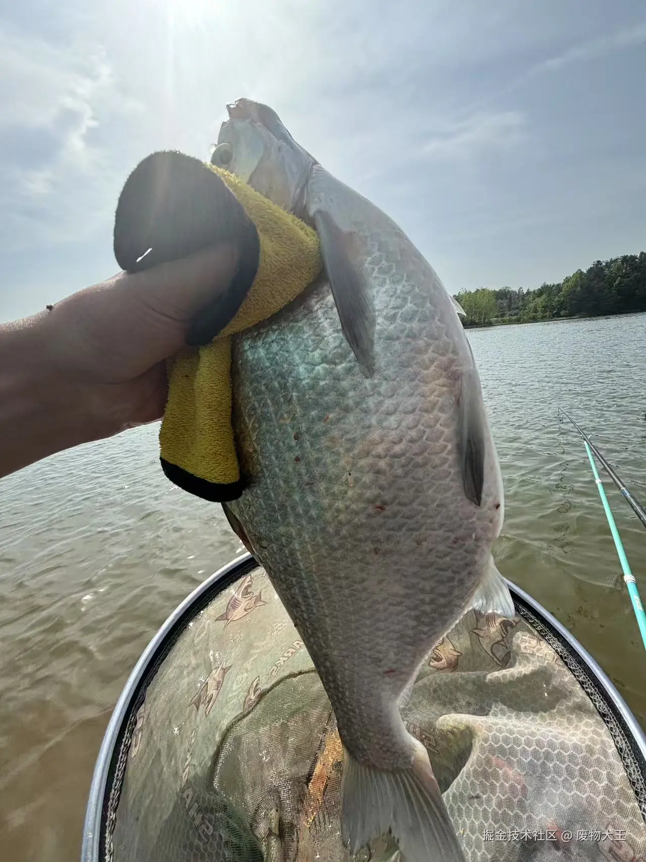 废物大王于2025-04-14 10:21发布的图片