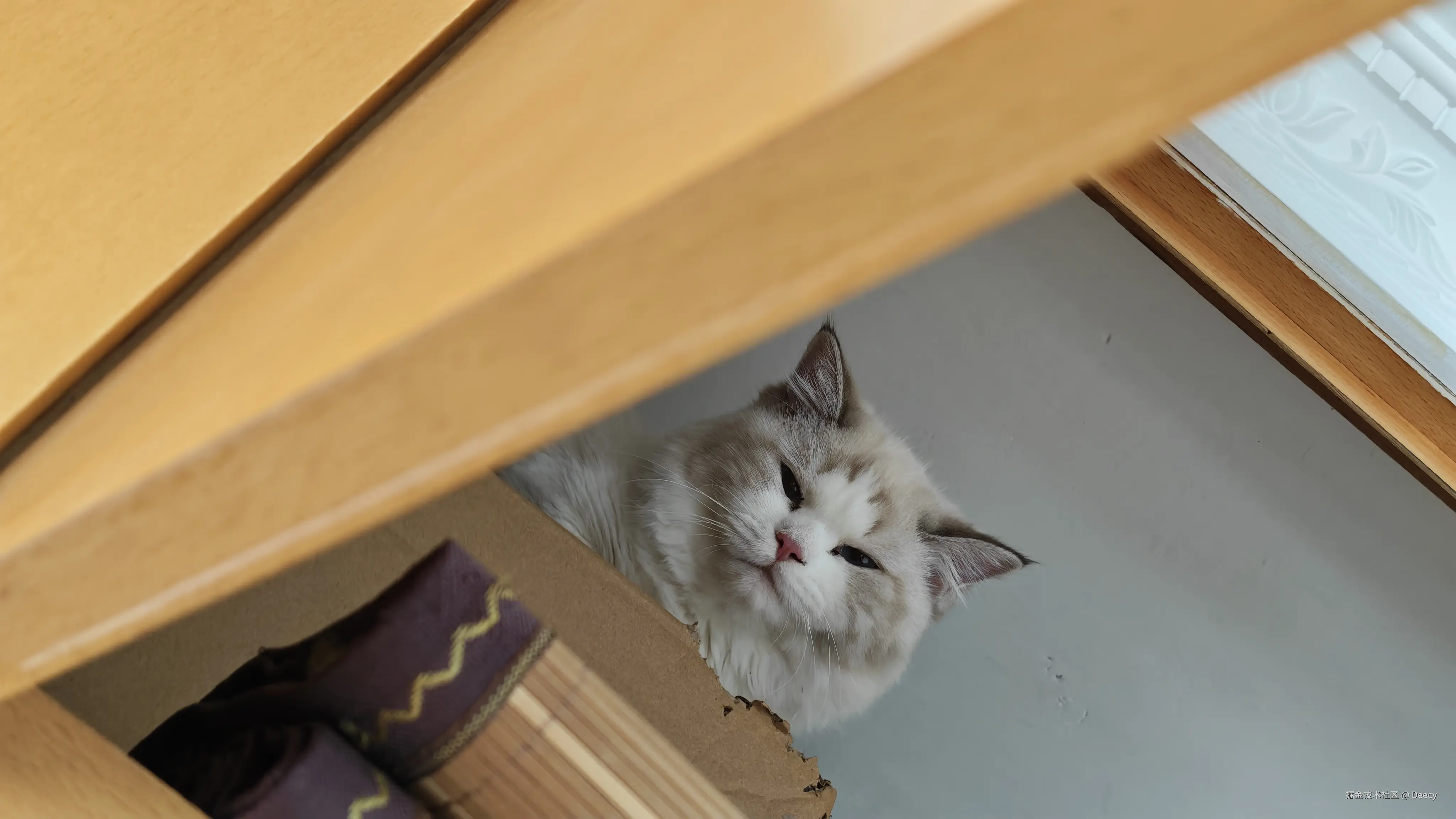 Deecy于2025-09-29 16:03发布的图片