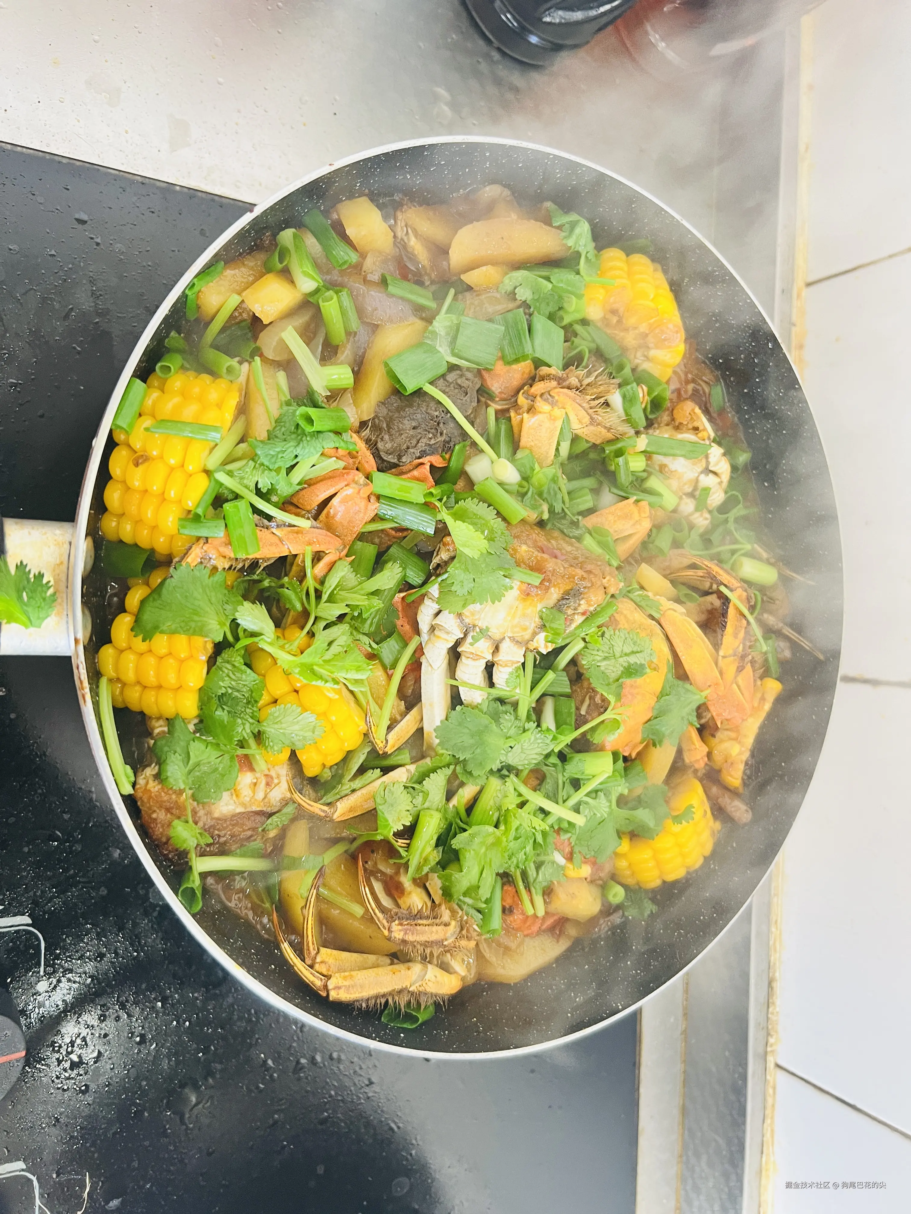 狗尾巴花的尖于2025-11-03 10:10发布的图片