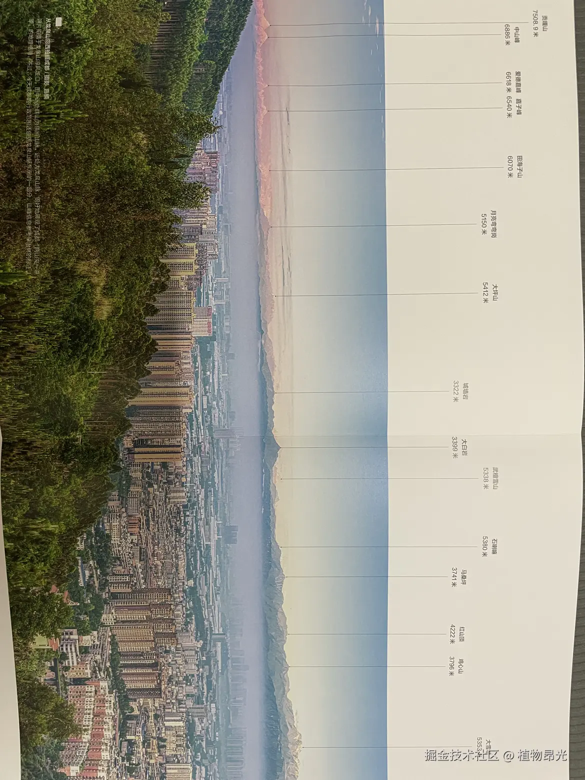 植物昂光于2026-04-02 20:46发布的图片