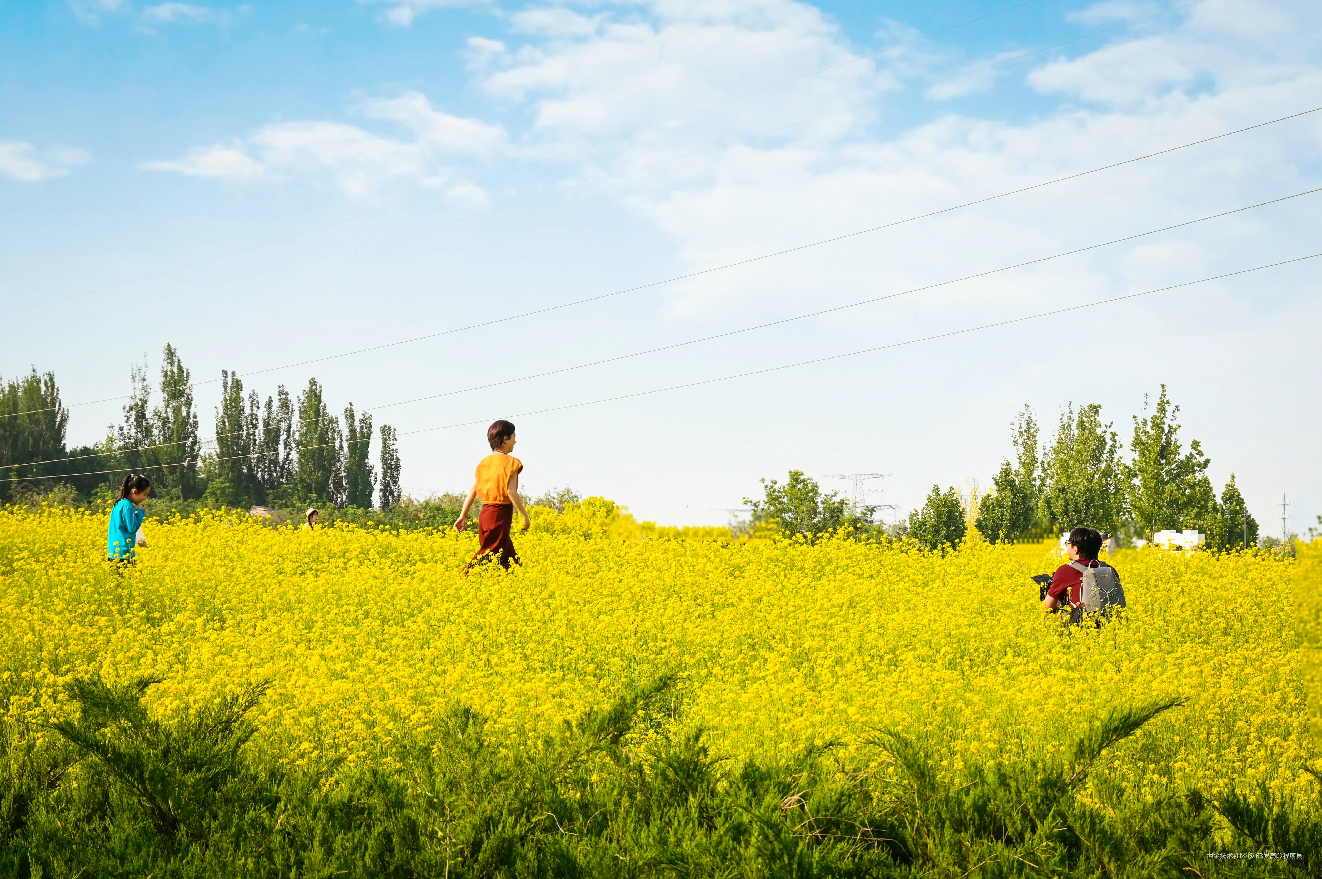 63岁高龄程序员于2025-05-12 09:50发布的图片