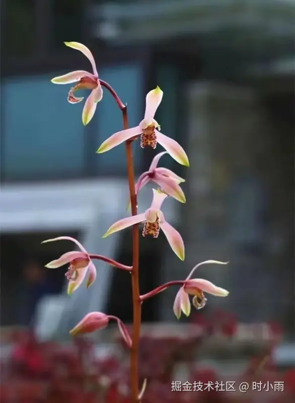 时小雨于2025-06-02 13:29发布的图片