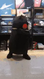 lcy453于2026-03-09 09:21发布的图片