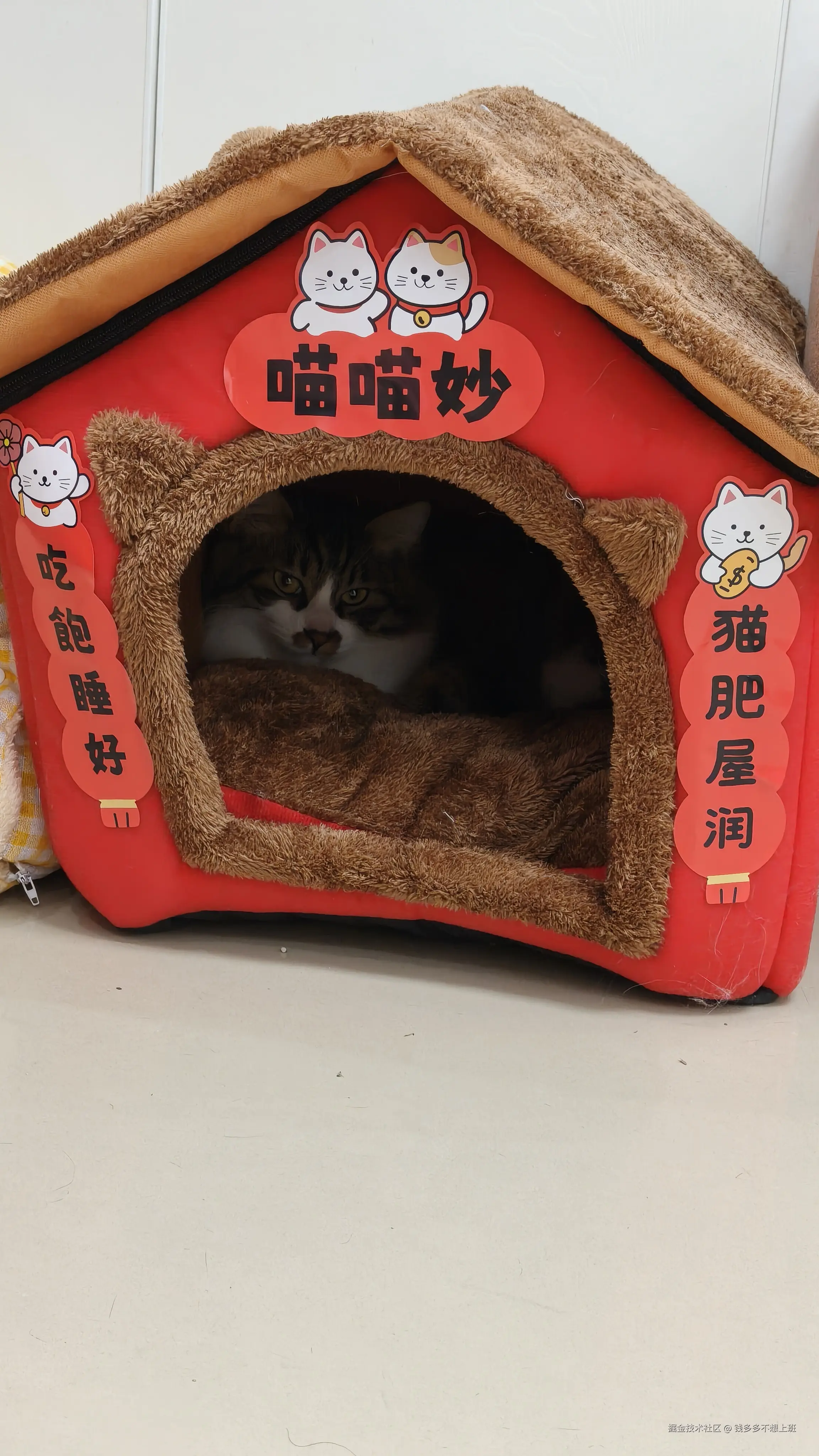 钱多多不想上班于2026-01-20 16:26发布的图片