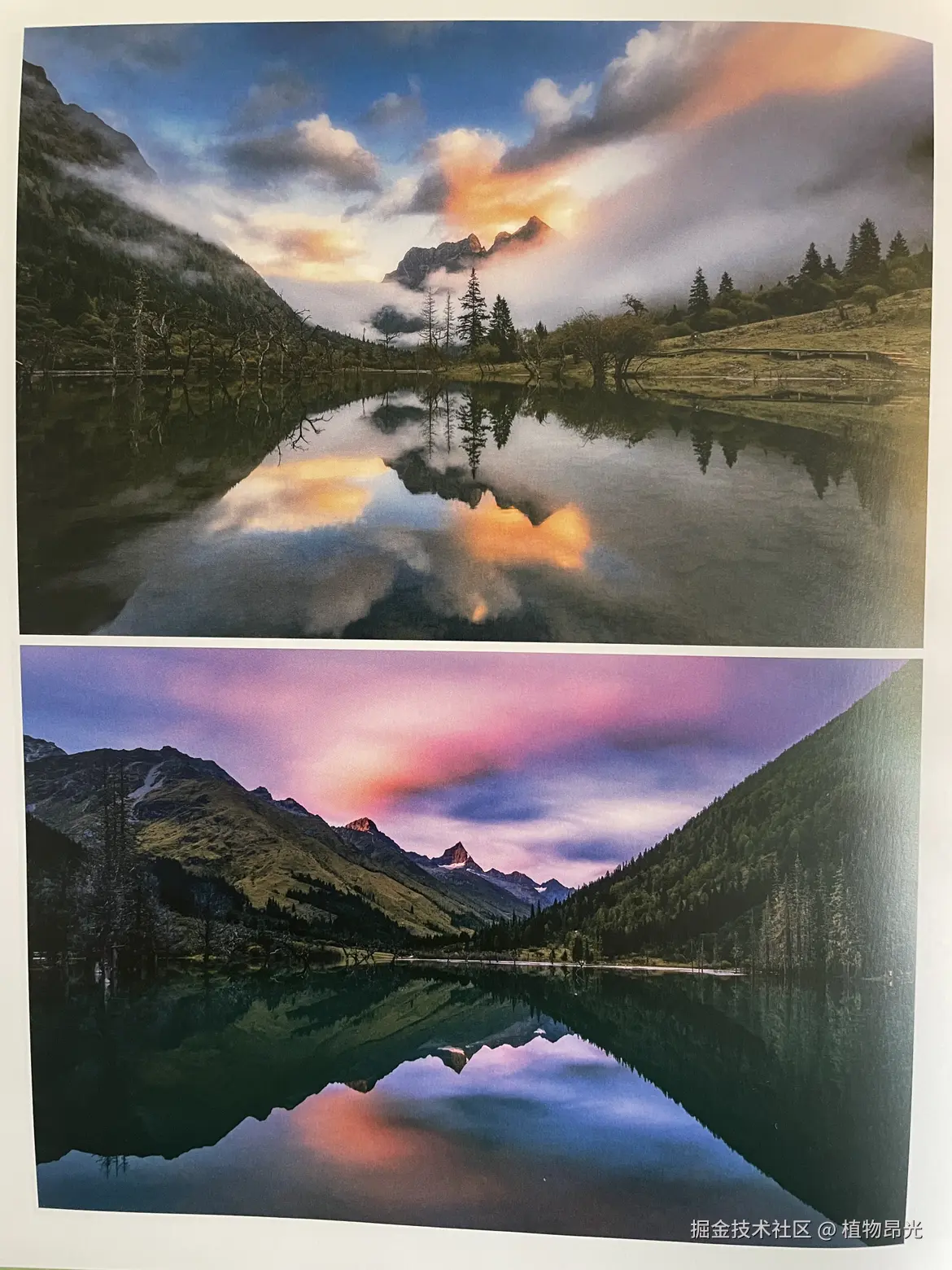 植物昂光于2026-03-15 11:13发布的图片