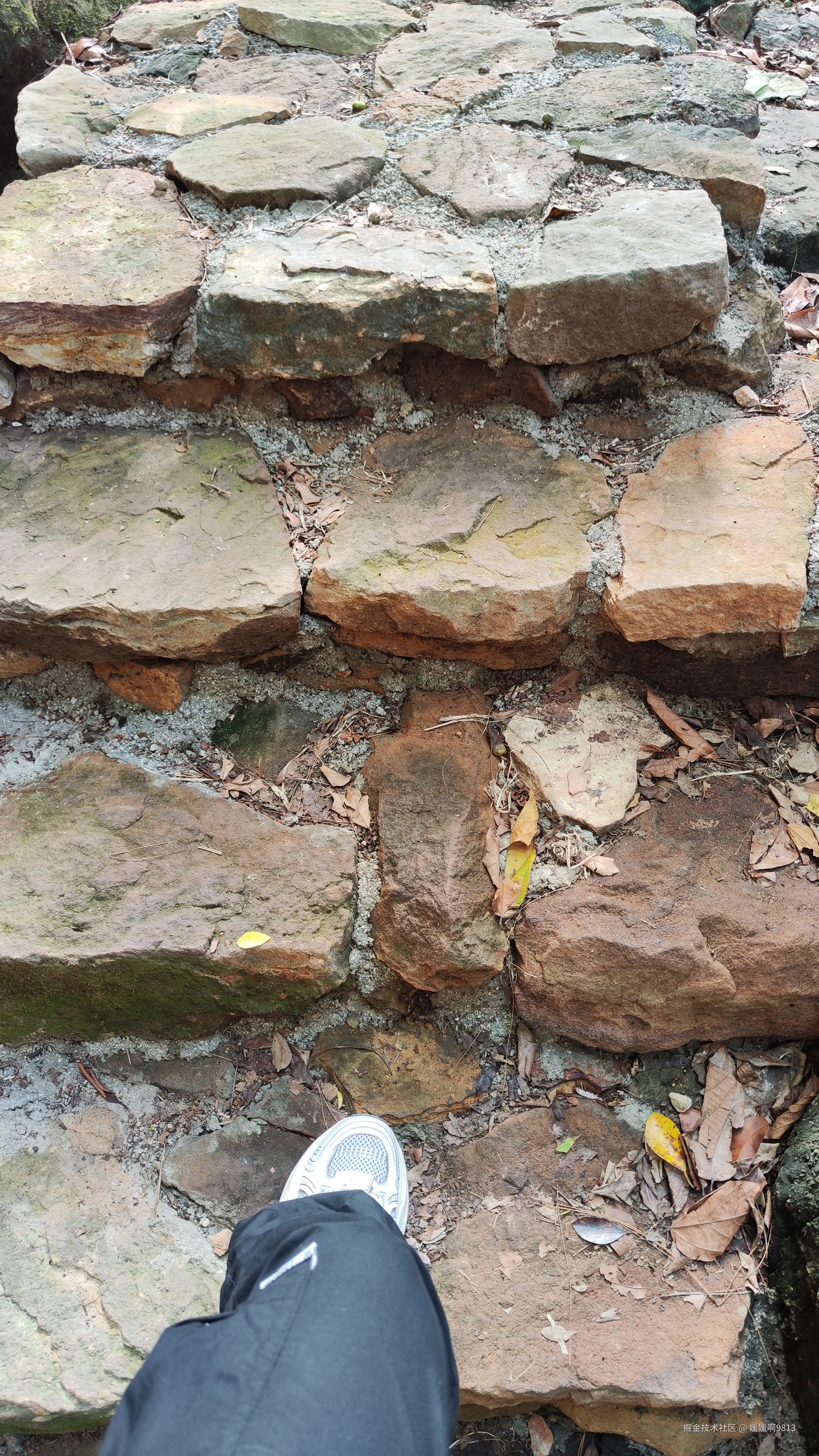 媛媛啊9813于2025-05-08 06:30发布的图片