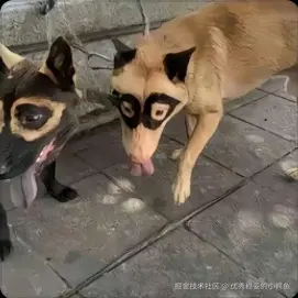 优秀稳妥的小鳄鱼于2025-04-24 10:45发布的图片