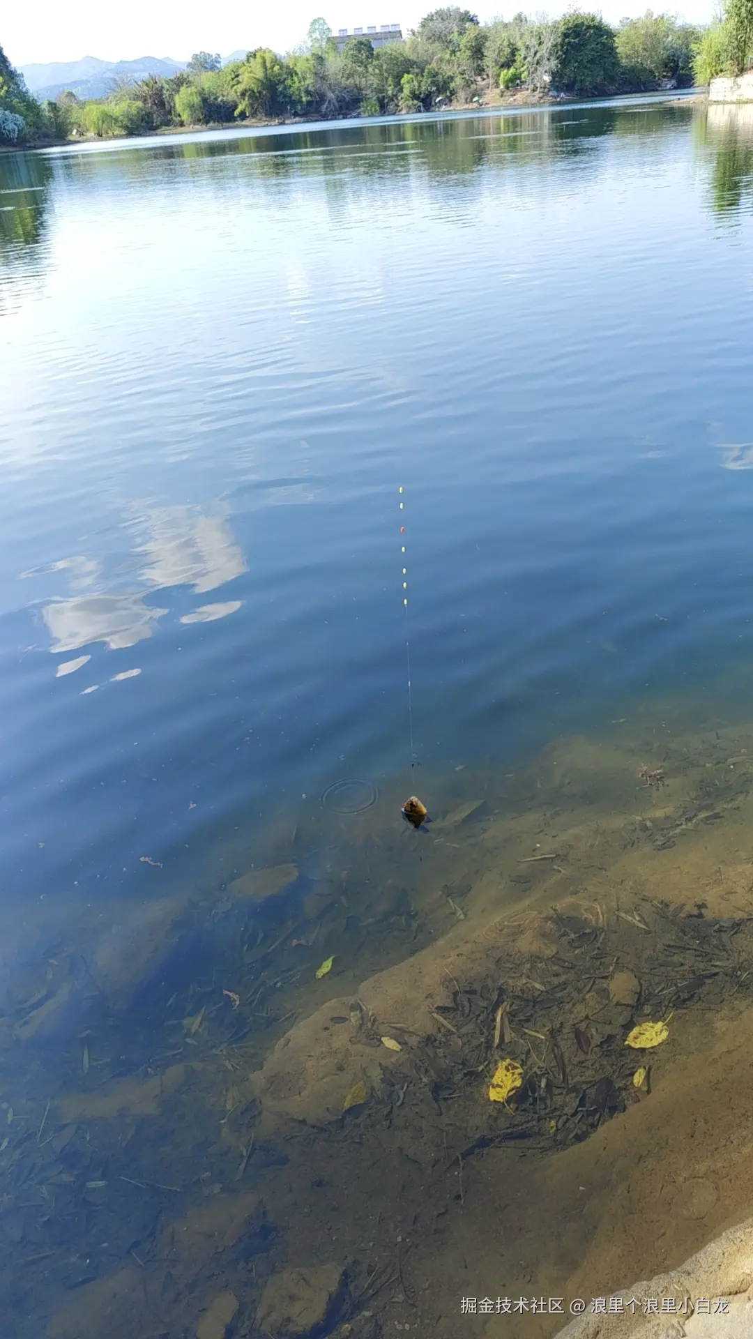 浪里个浪里小白龙于2025-11-06 16:41发布的图片