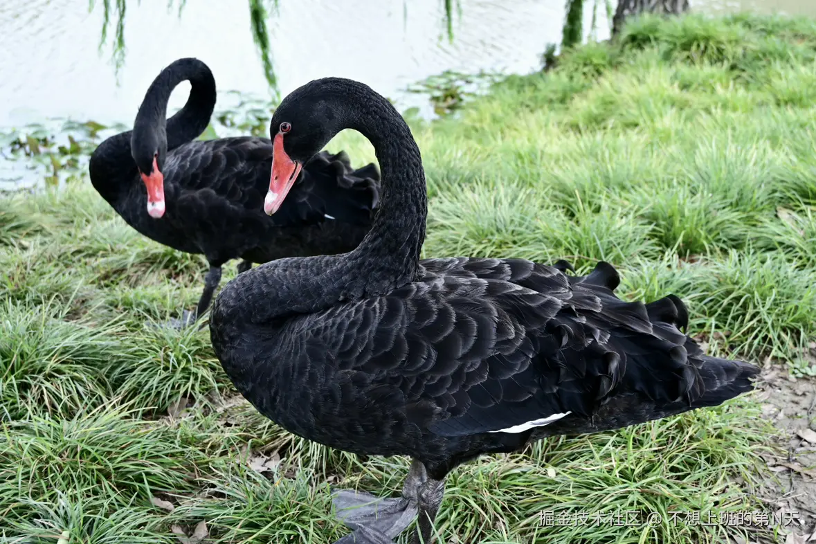 不想上班的第N天于2025-07-21 10:37发布的图片