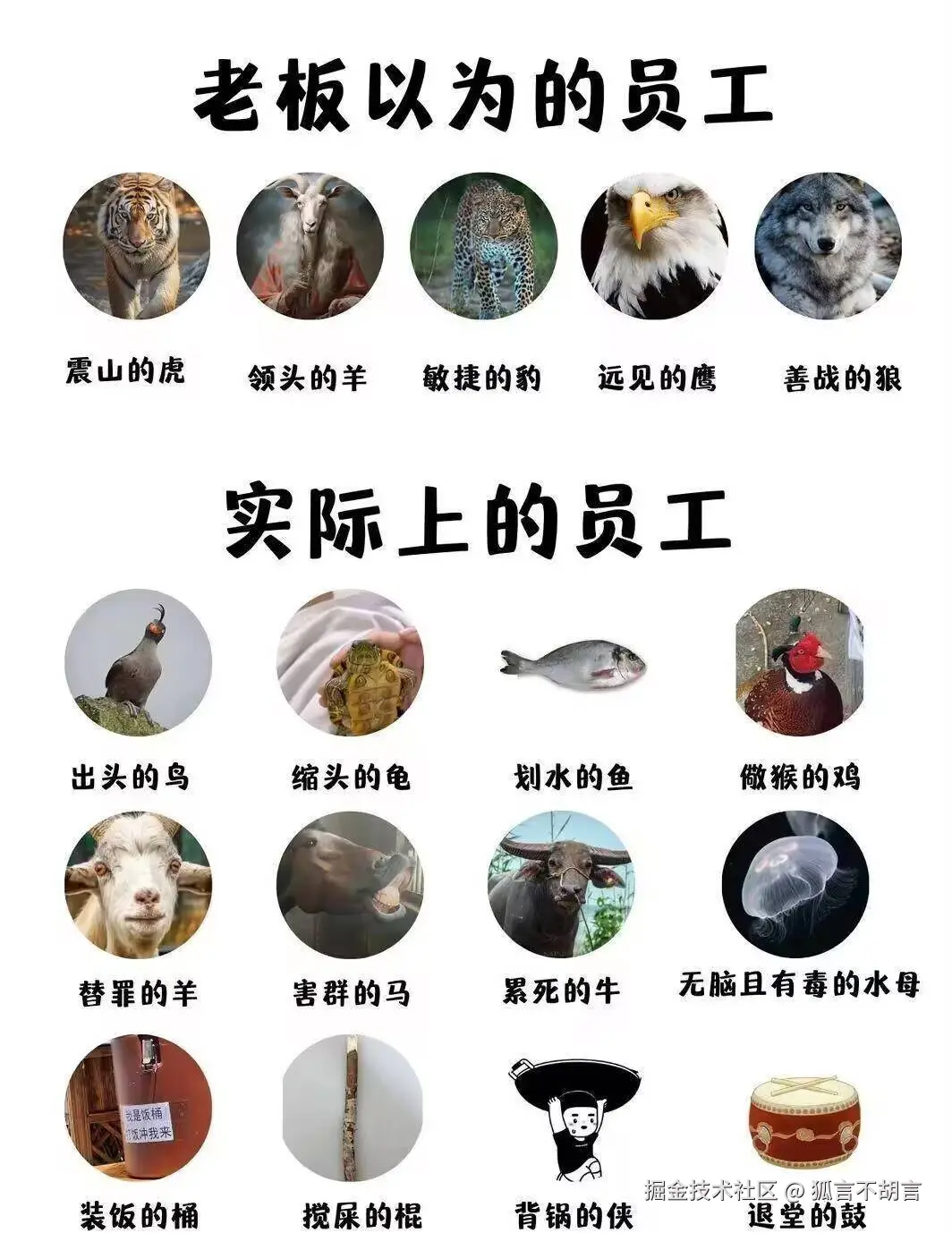 狐言不胡言于2025-08-26 16:37发布的图片