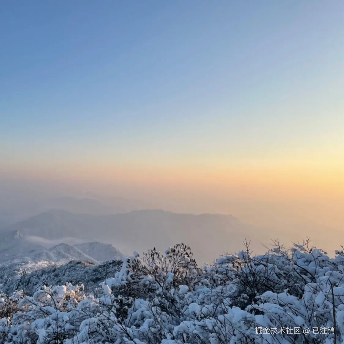 已注销于2024-10-28 16:11发布的图片