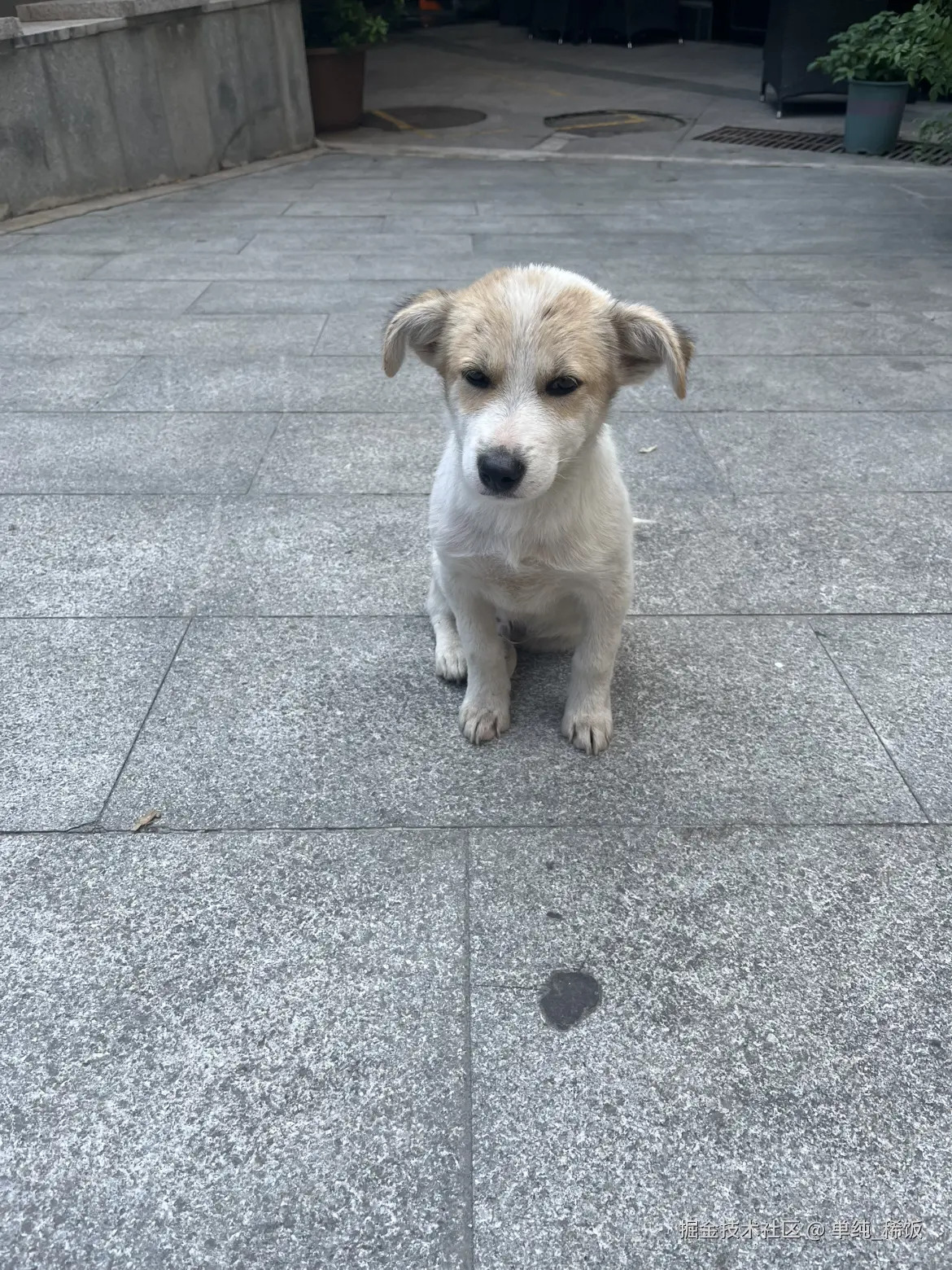 单纯_稀饭于2025-09-25 13:38发布的图片