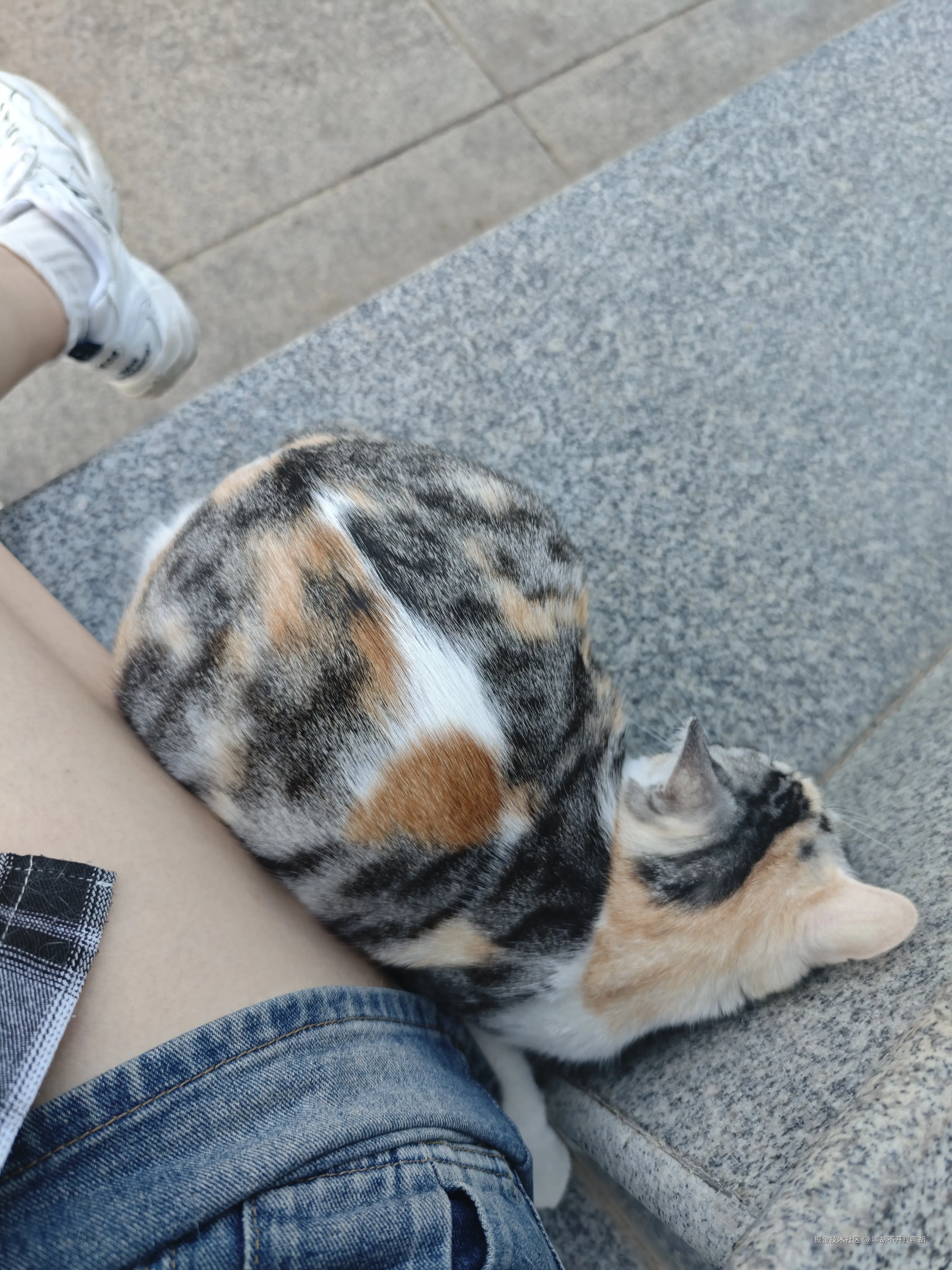 哪胡不开提哪胡于2025-04-29 08:30发布的图片