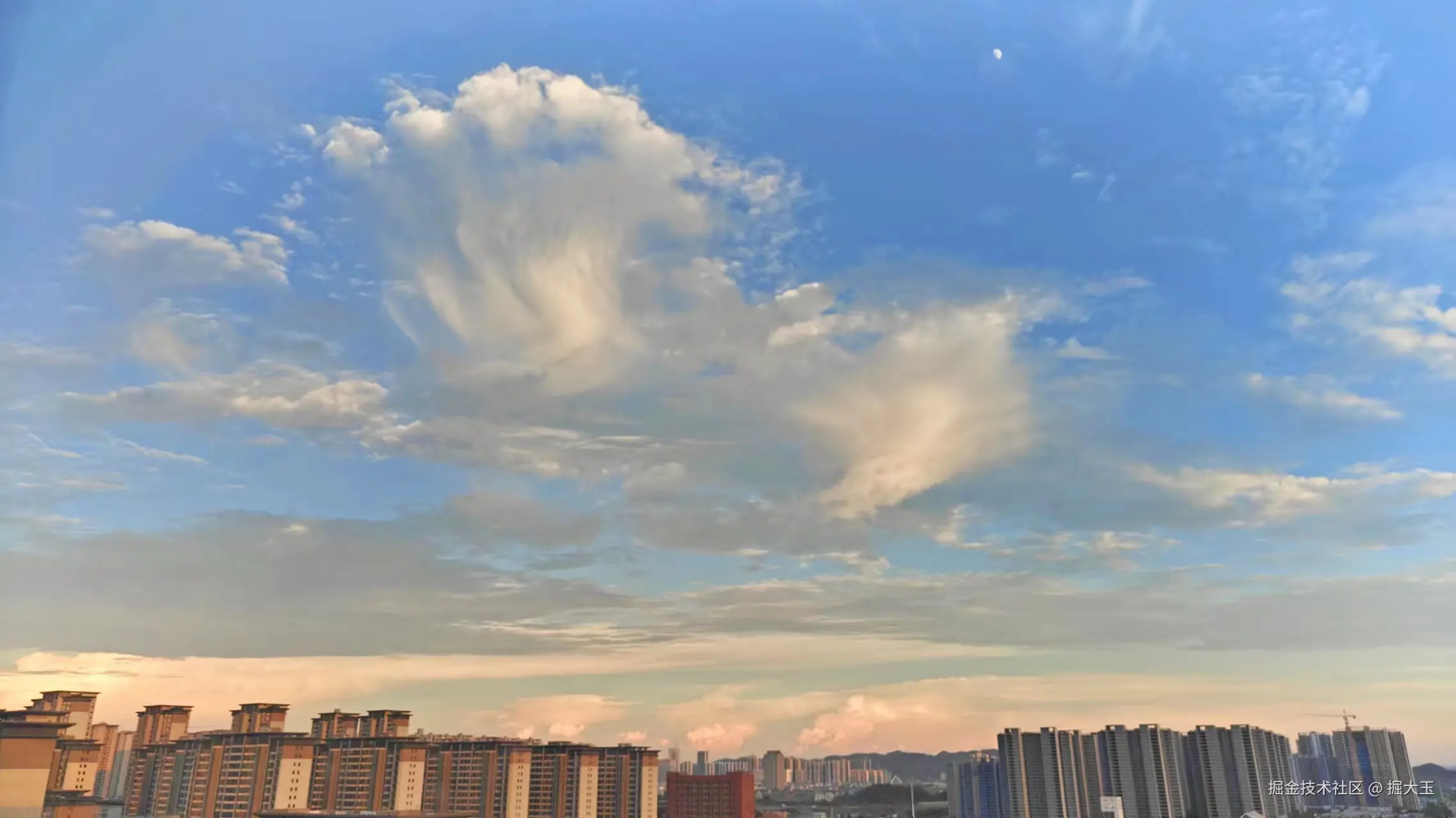 掘大玉于2024-07-17 08:47发布的图片