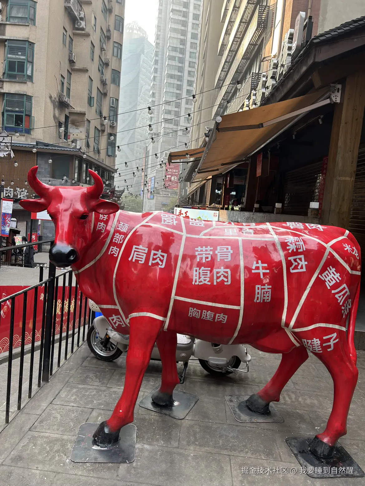 我要睡到自然醒于2026-02-13 04:16发布的图片