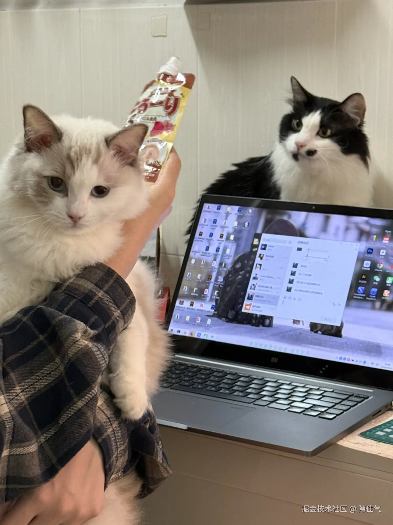 陳住气于2024-11-01 09:54发布的图片