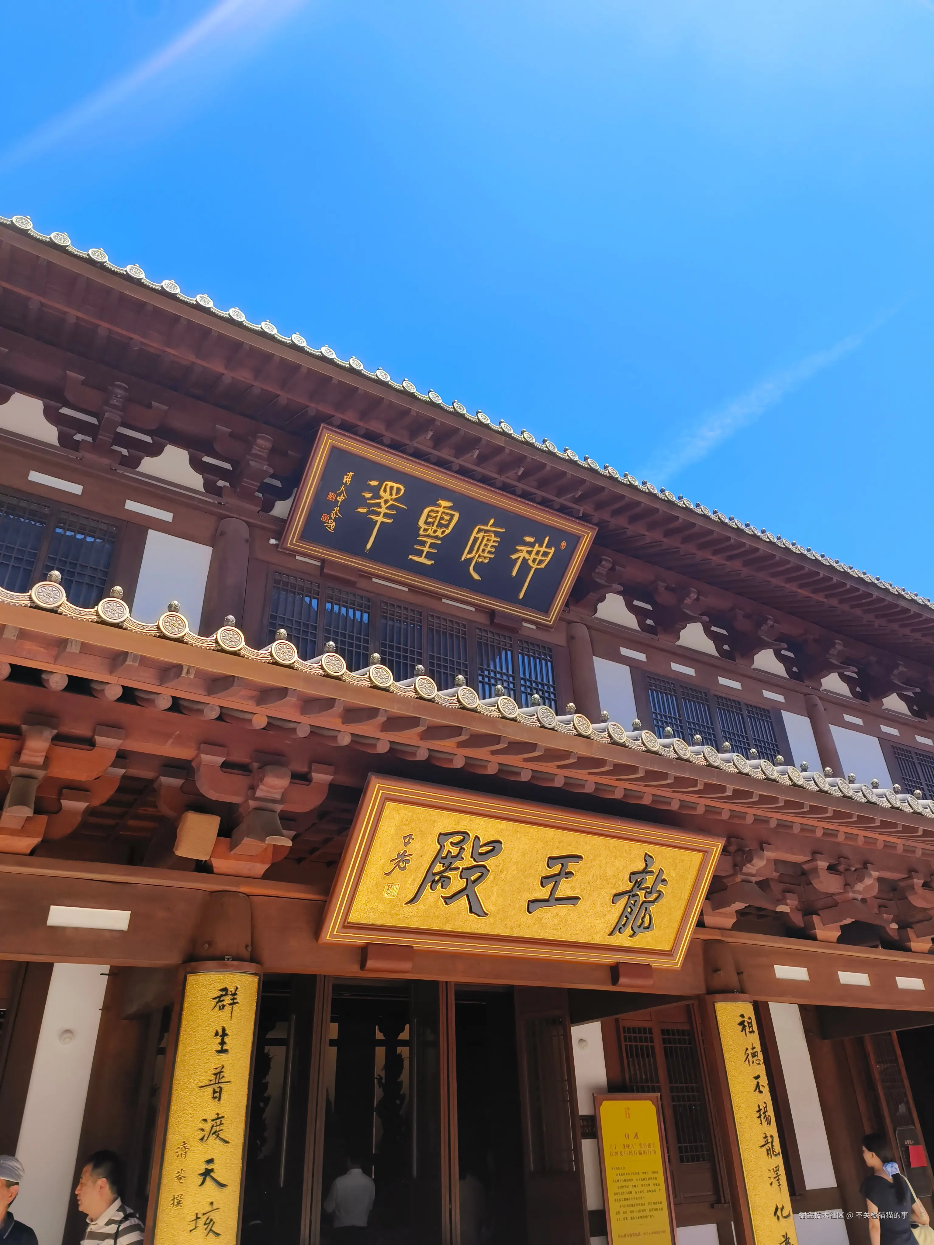 不关橙猫猫的事于2025-08-25 15:39发布的图片