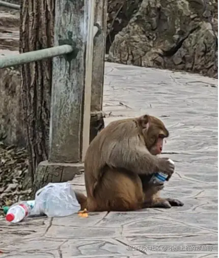 不想上班的章鱼哥于2025-01-07 07:02发布的图片