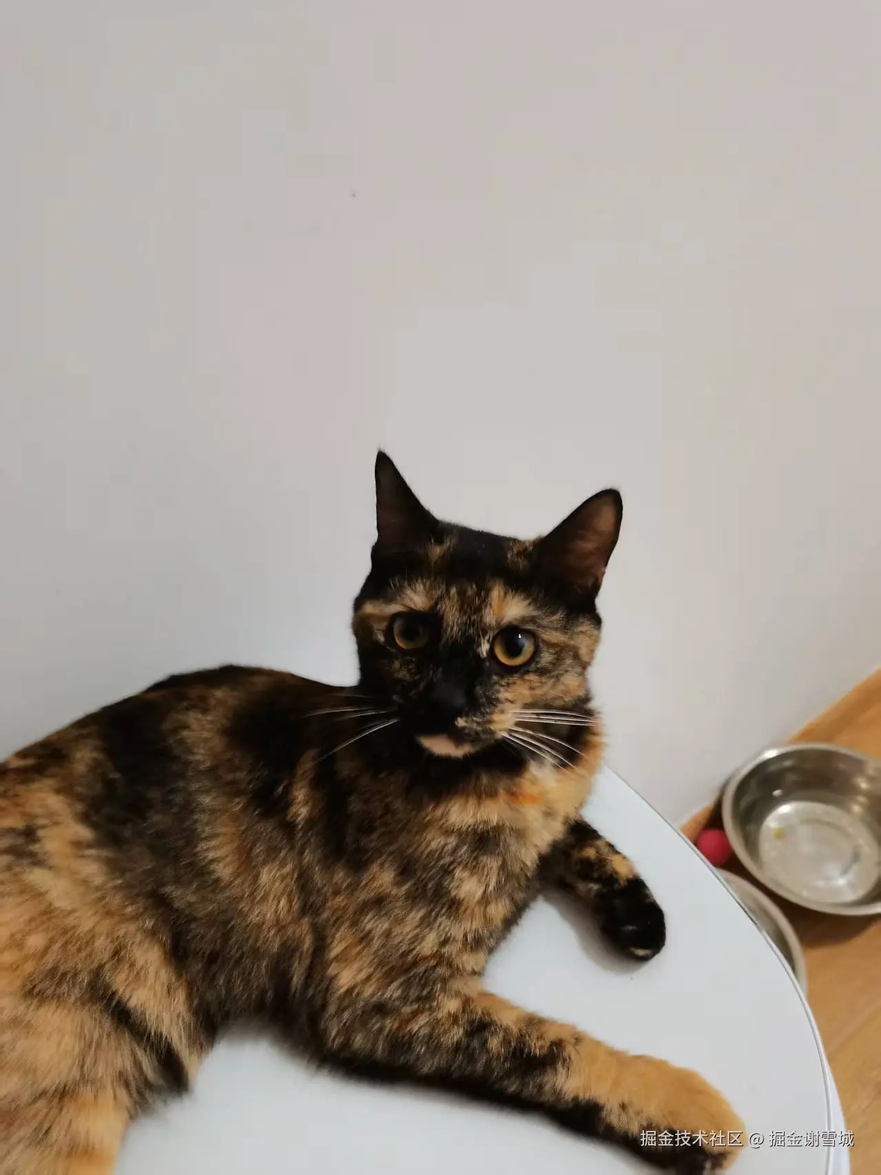 掘金谢雪城于2025-09-11 10:22发布的图片