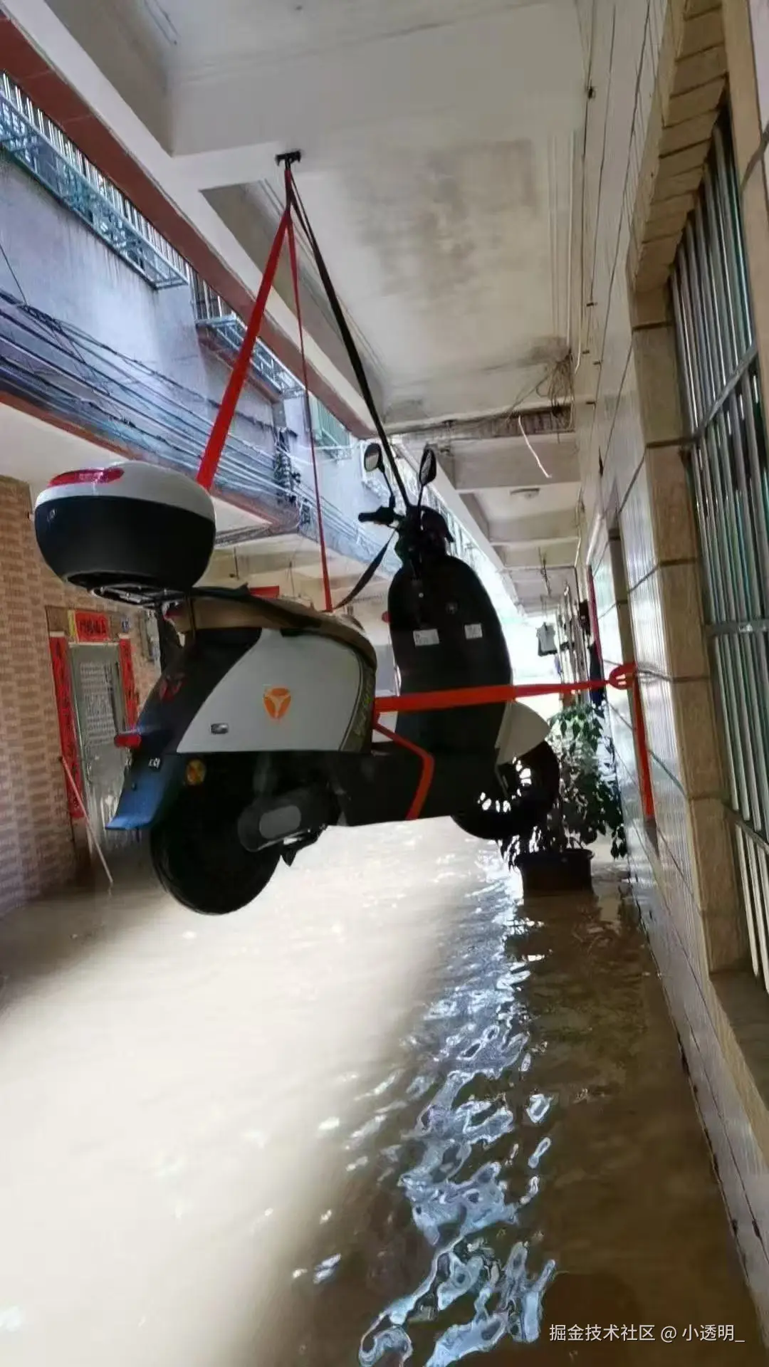 小透明_于2025-08-06 10:39发布的图片