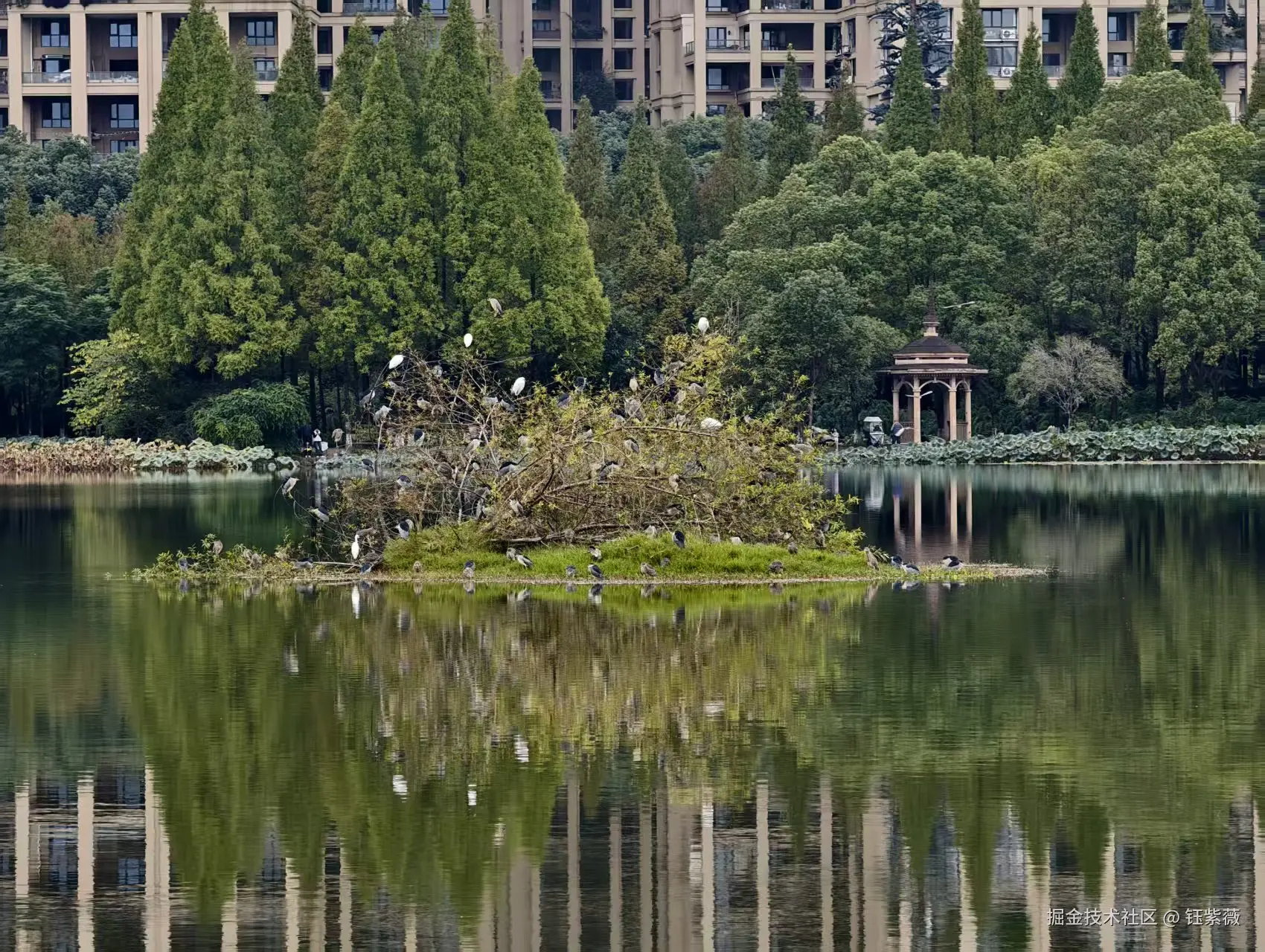 钰紫薇于2025-11-03 09:30发布的图片